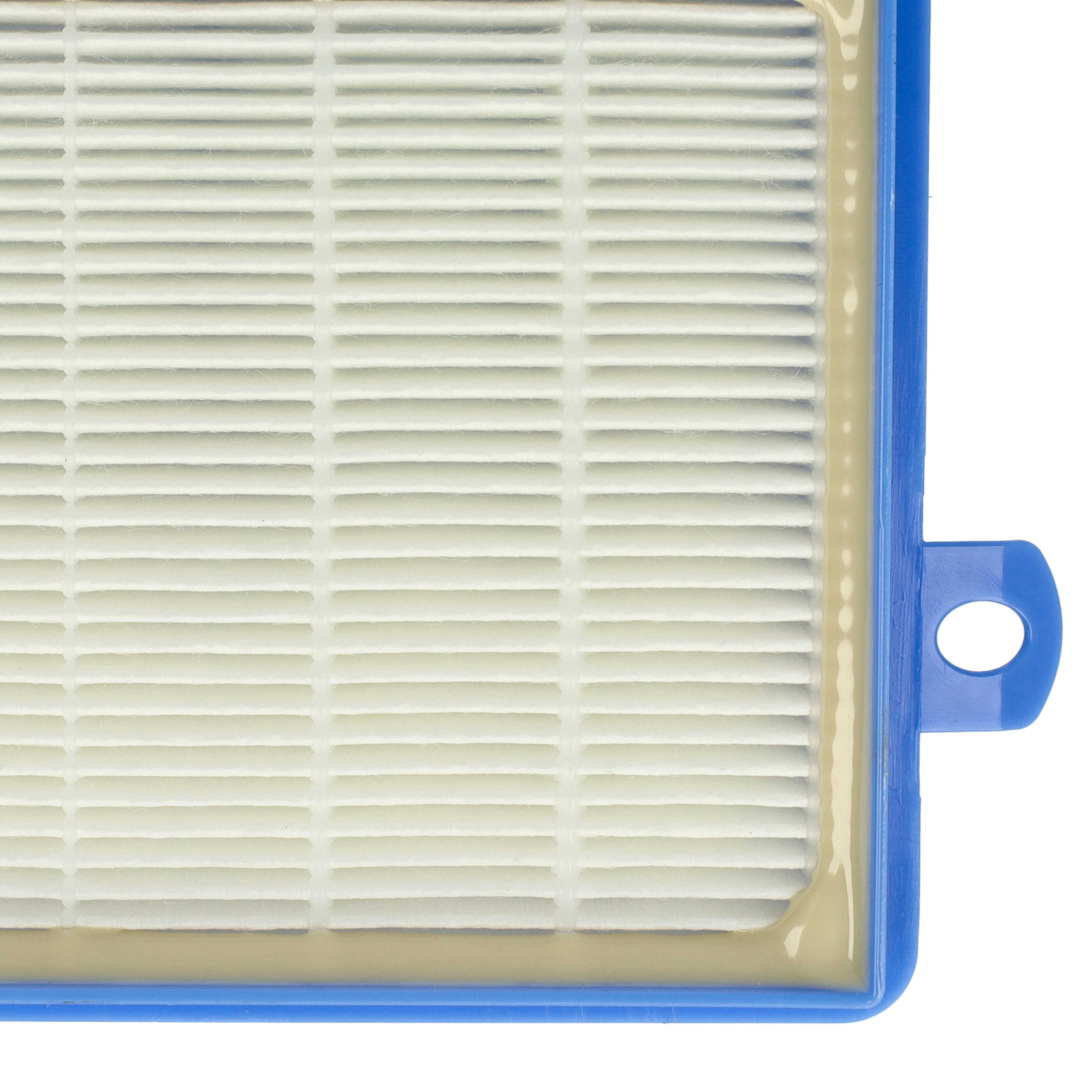Filtre remplace AEF13W, H13, AEF 13 W pour aspirateur - filtre HEPA F7