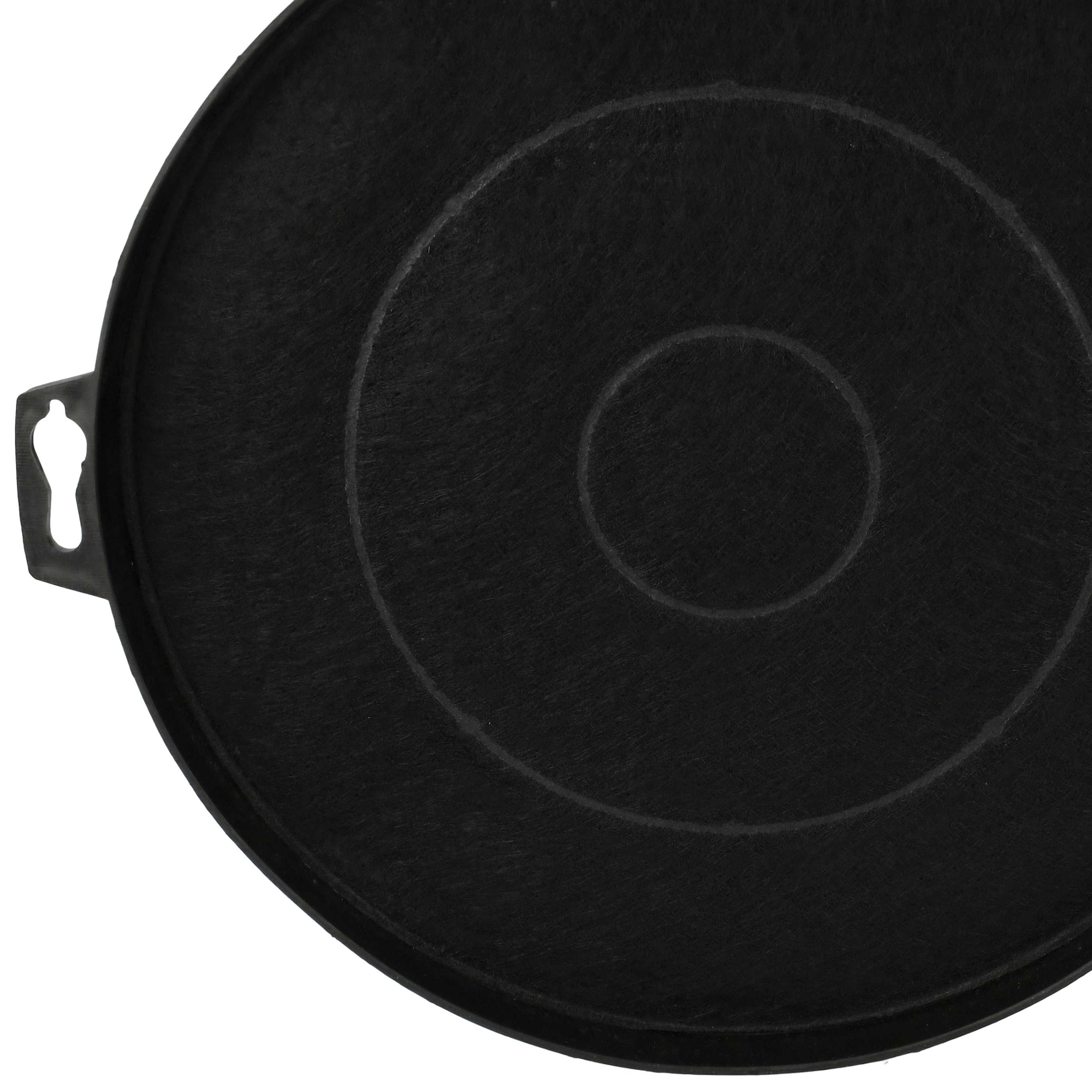 10x Filtres à charbon actif remplace AEG 7332543706709, 9029801520, 9029793719, 902980152 pour hotte Proline