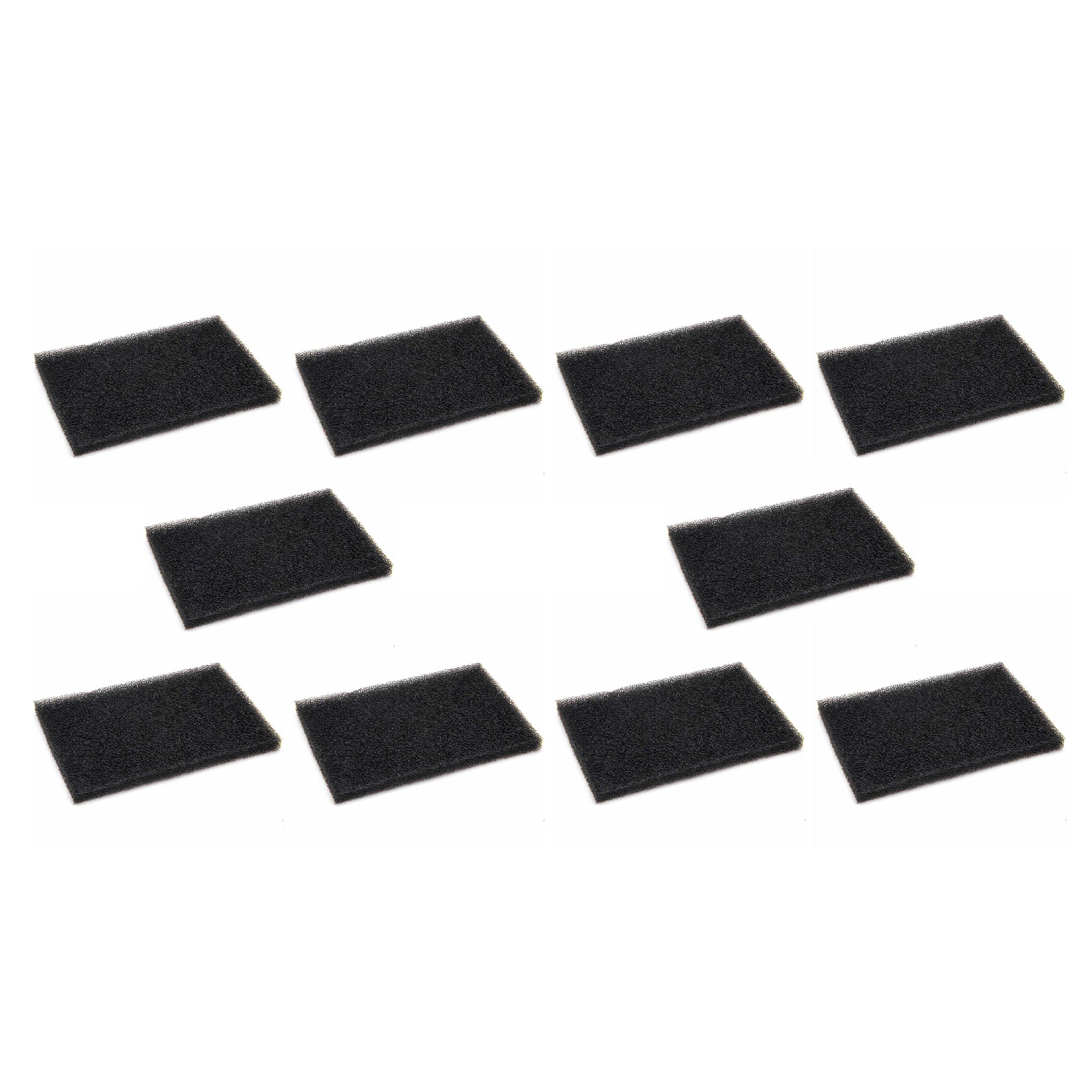 10x Filtre remplace AEF03 pour aspirateur - filtre mousse