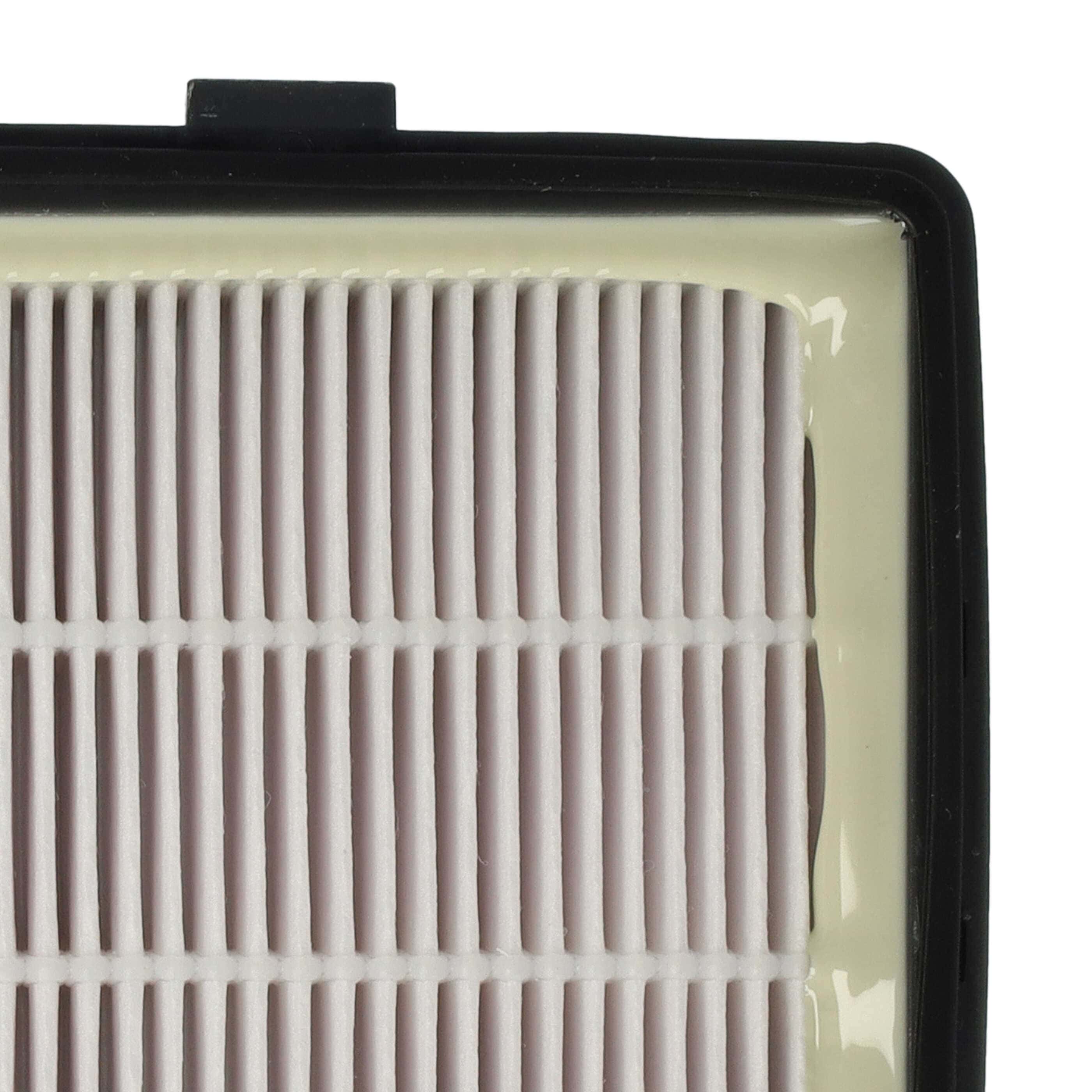 2x exhaust EPA filter replaces Rowenta RS-RT4310, ZR920101 for Rowenta Vacuum Cleaner