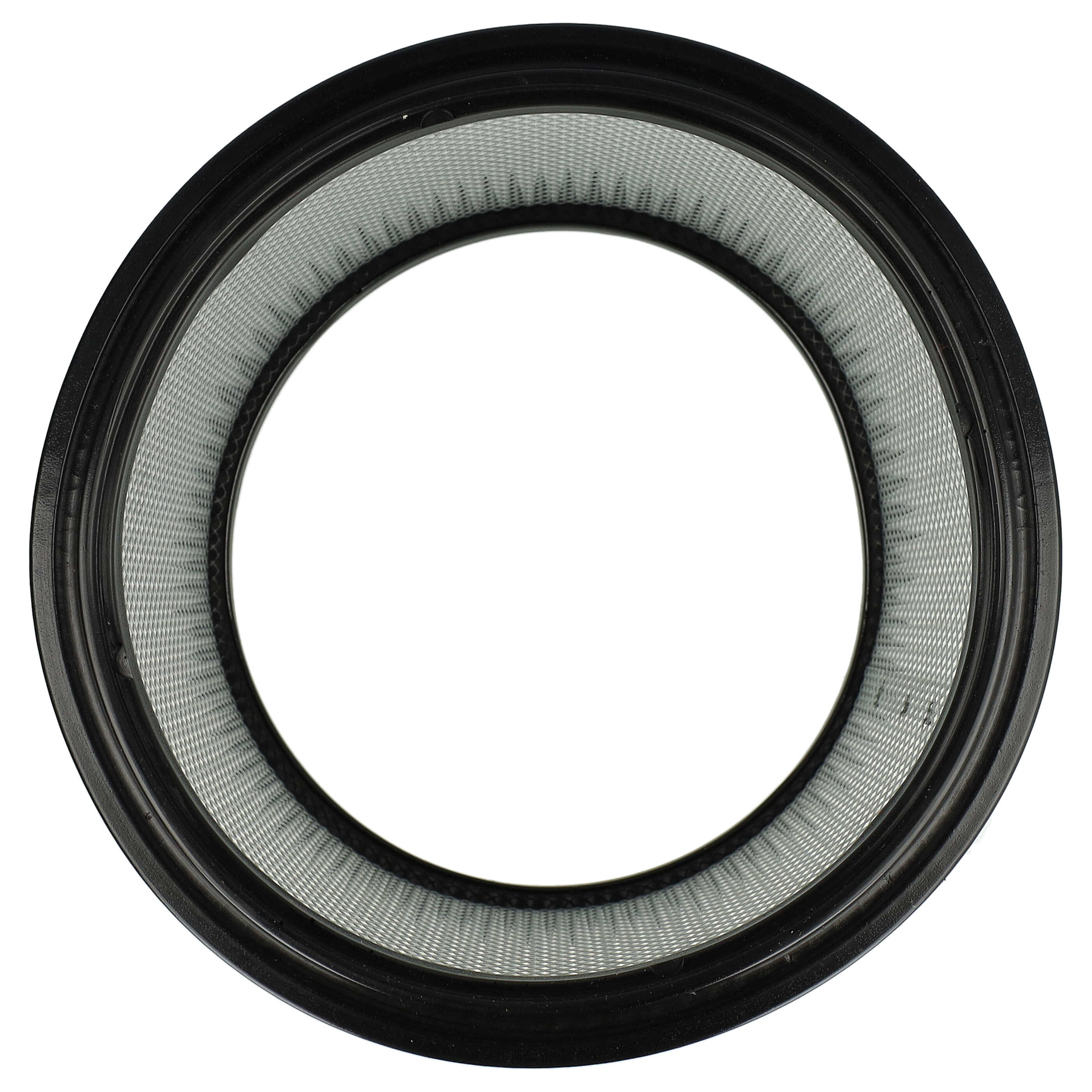 Filtercartridge filter replaces Starmix 413525, 4011240413525 for Starmix Vacuum Cleaner, black / white
