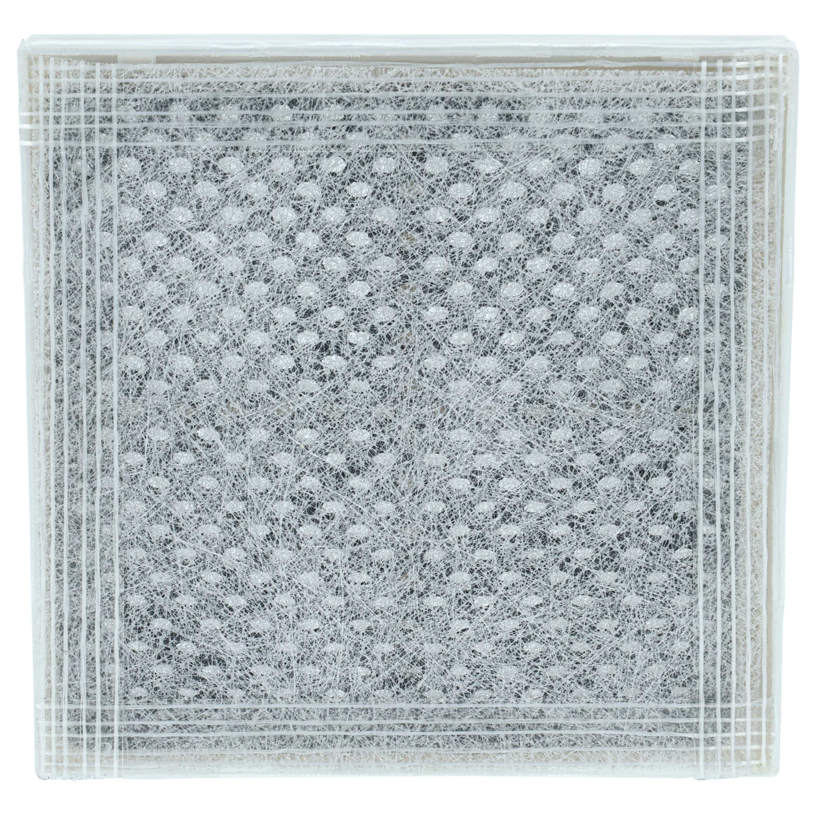 1x filtro dell'aria, 1x filtro dell'acqua LG gs9366necz, gs9366pzyzd sostituisce LG LT1000P frigo