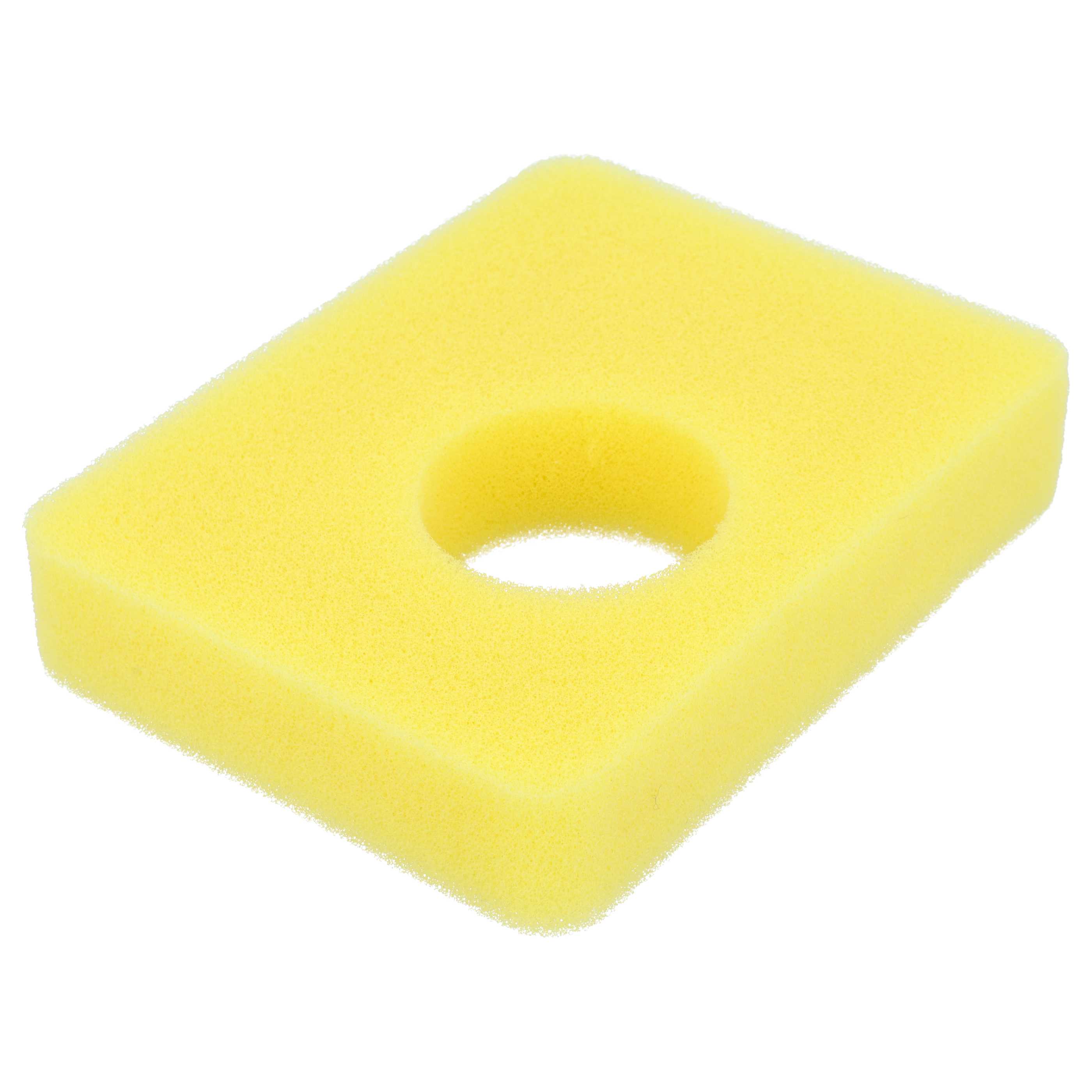 Filtro dell'aria di schiuma sostituisce Briggs & Stratton 799579, 5434 per motore del tosaerba 
