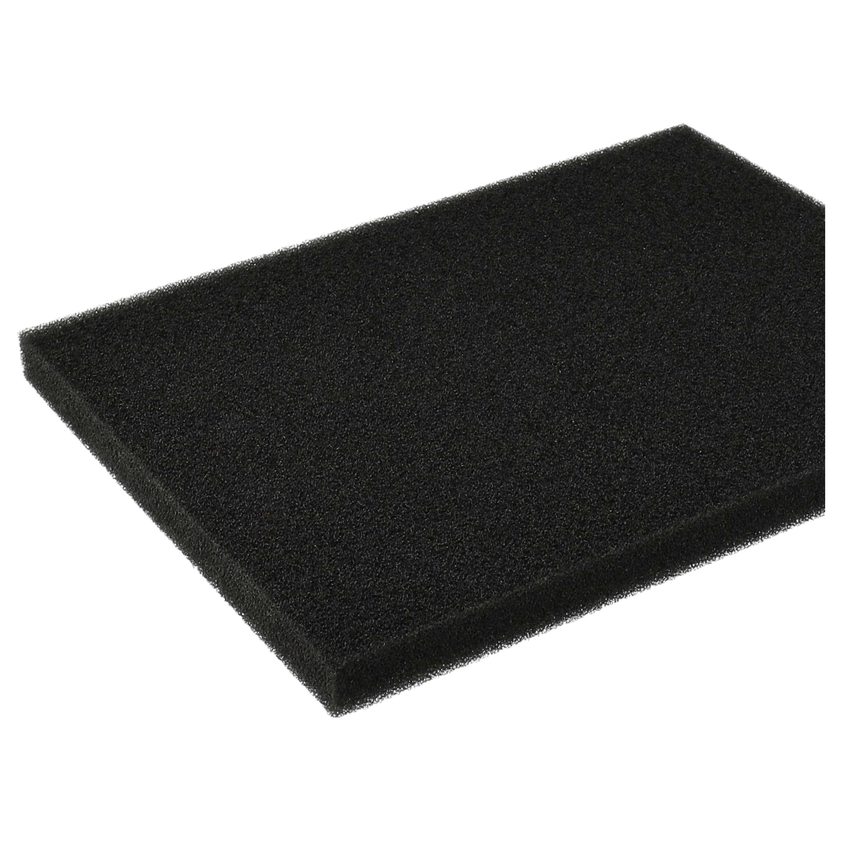Filtro sostituisce Philips 432200039691, CP0789 per aspirapolvere