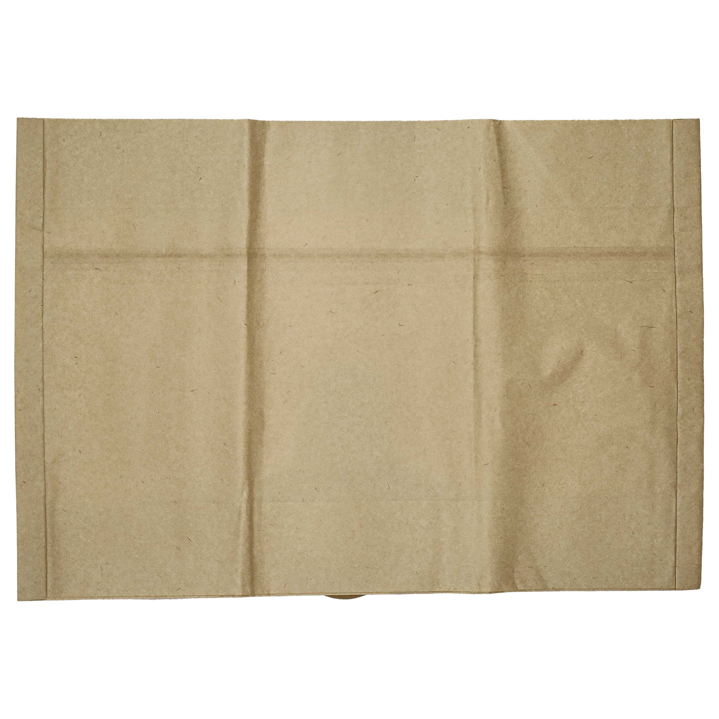 20x Sac remplace Einhell 23.421.60 pour aspirateur LIV - papier