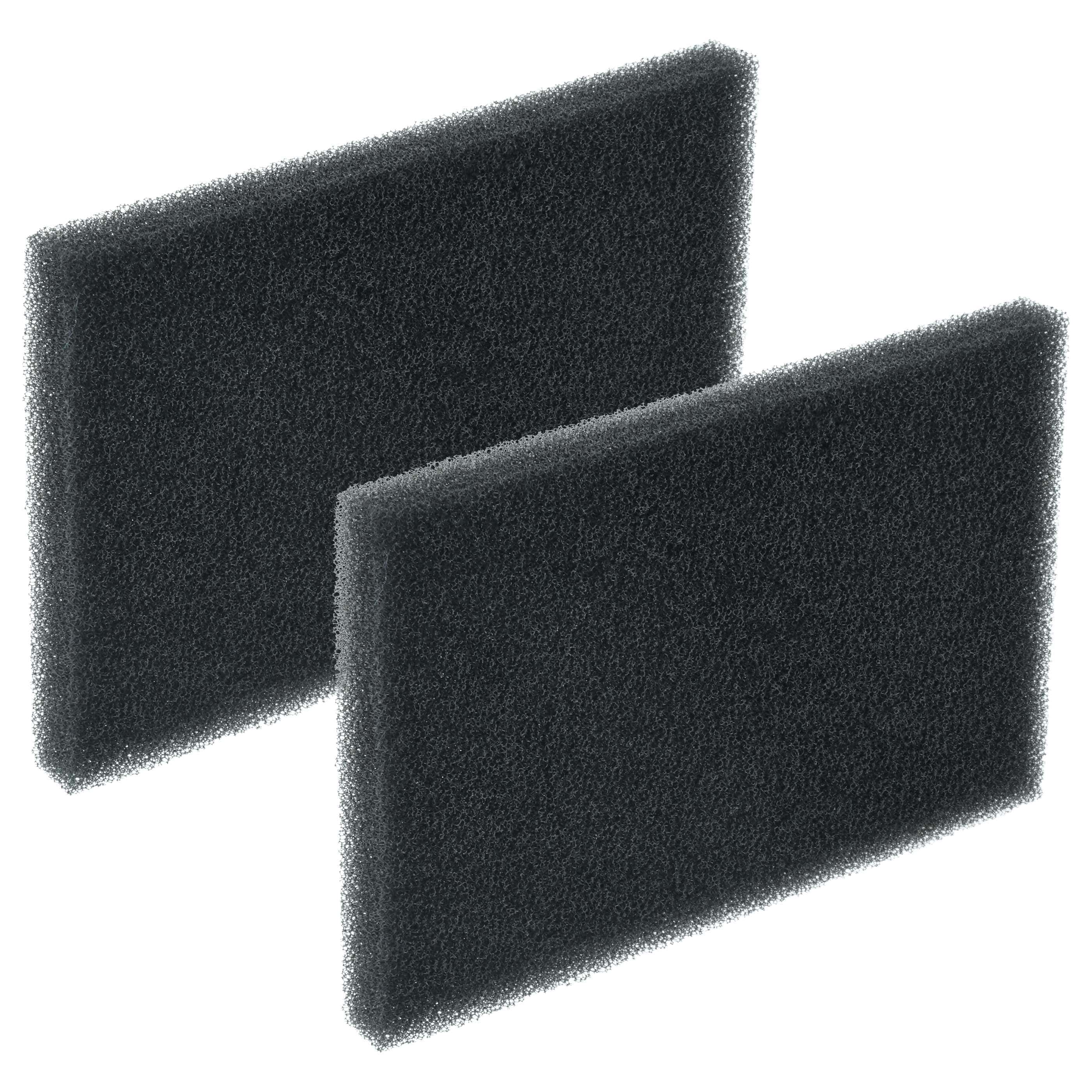 2x filtro protector motor###DU HAST DEN FALSCHEN REF TAG VERWENDET###aspiradora, 6 x 10 cm