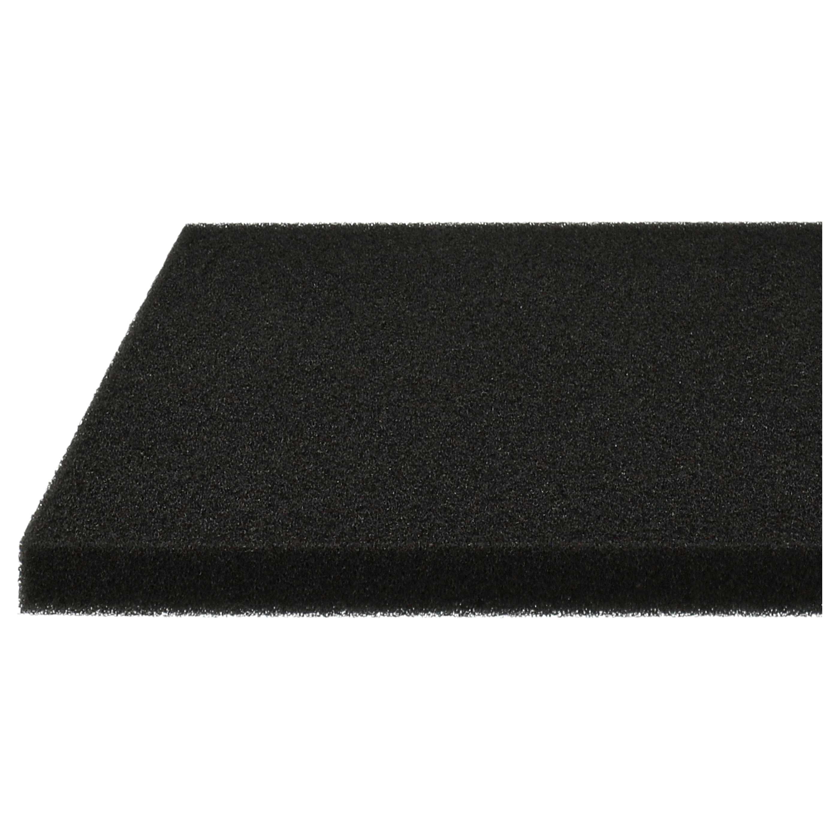 Filtro sostituisce Philips 432200039691, CP0789 per aspirapolvere