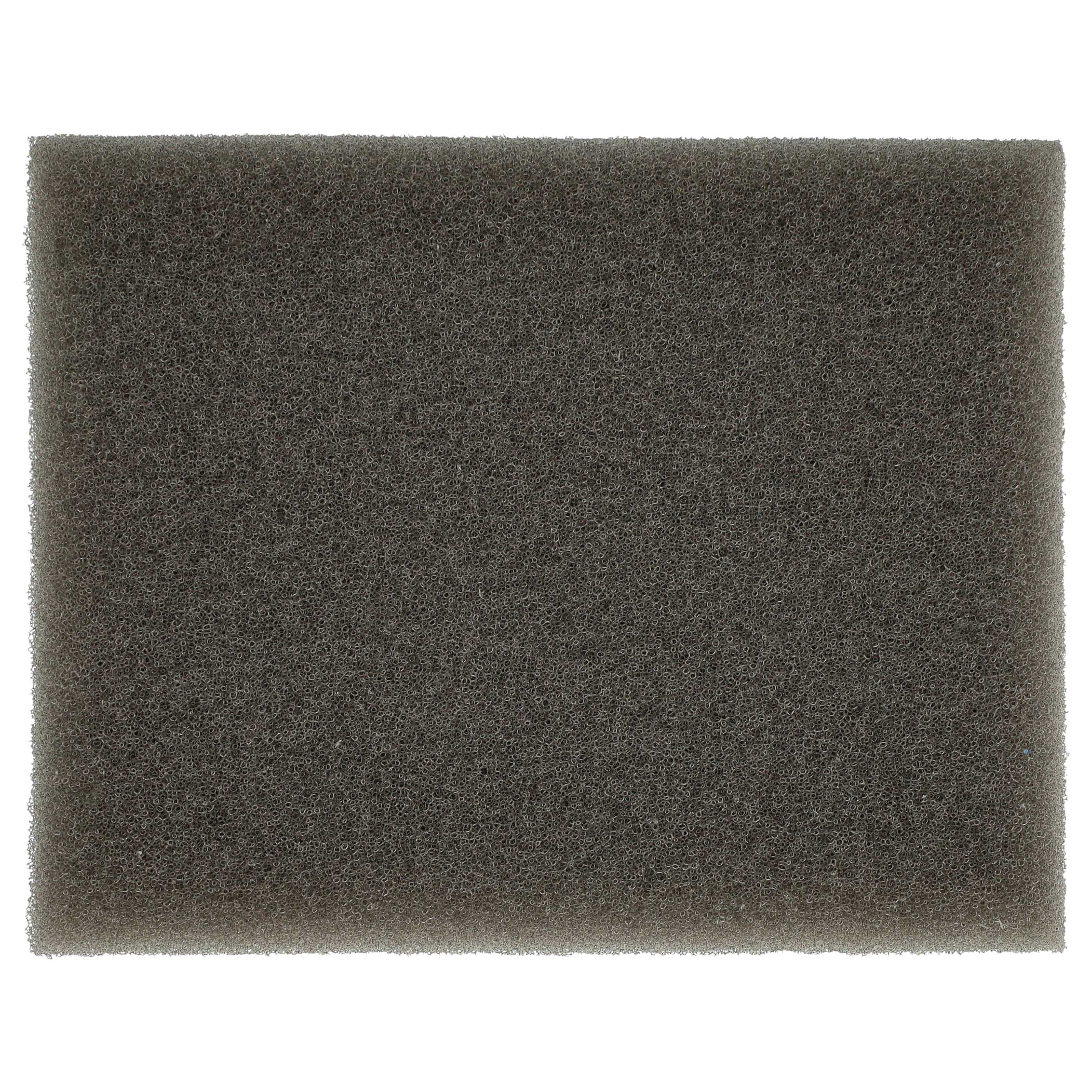 sponge filter suitable for Leifheit Regulus Aqua PowerVac Vacuum Cleaner