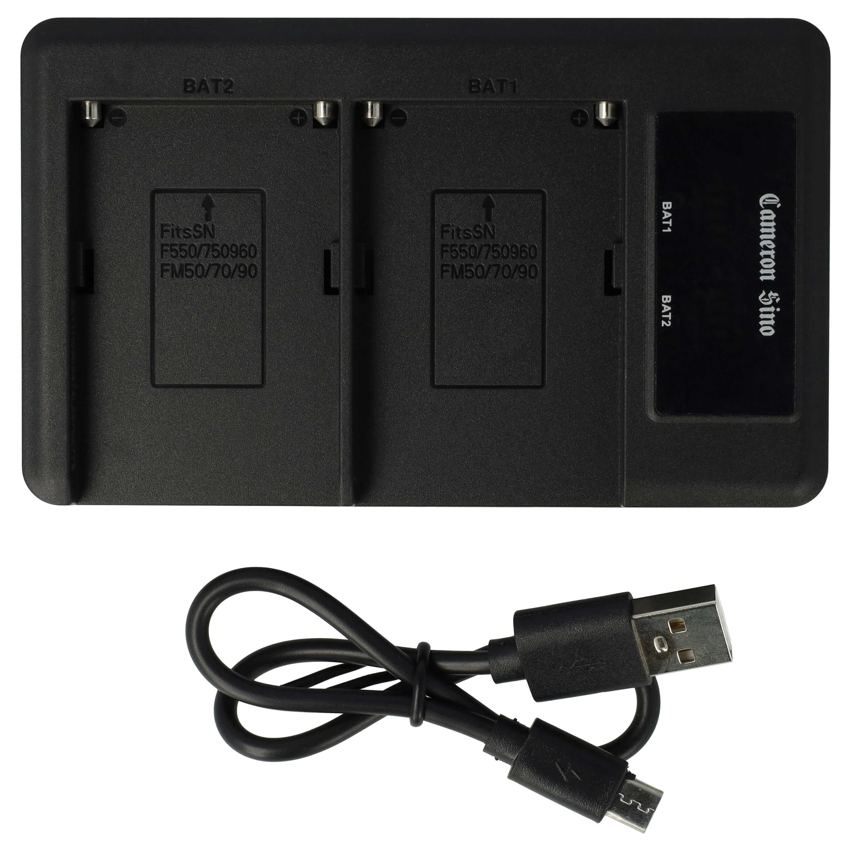 Battery Charger Micro-USB + USB-C + Cable Micro-USB suitable for Grundig, AML, Hitachi, JVC Digital Camera etc