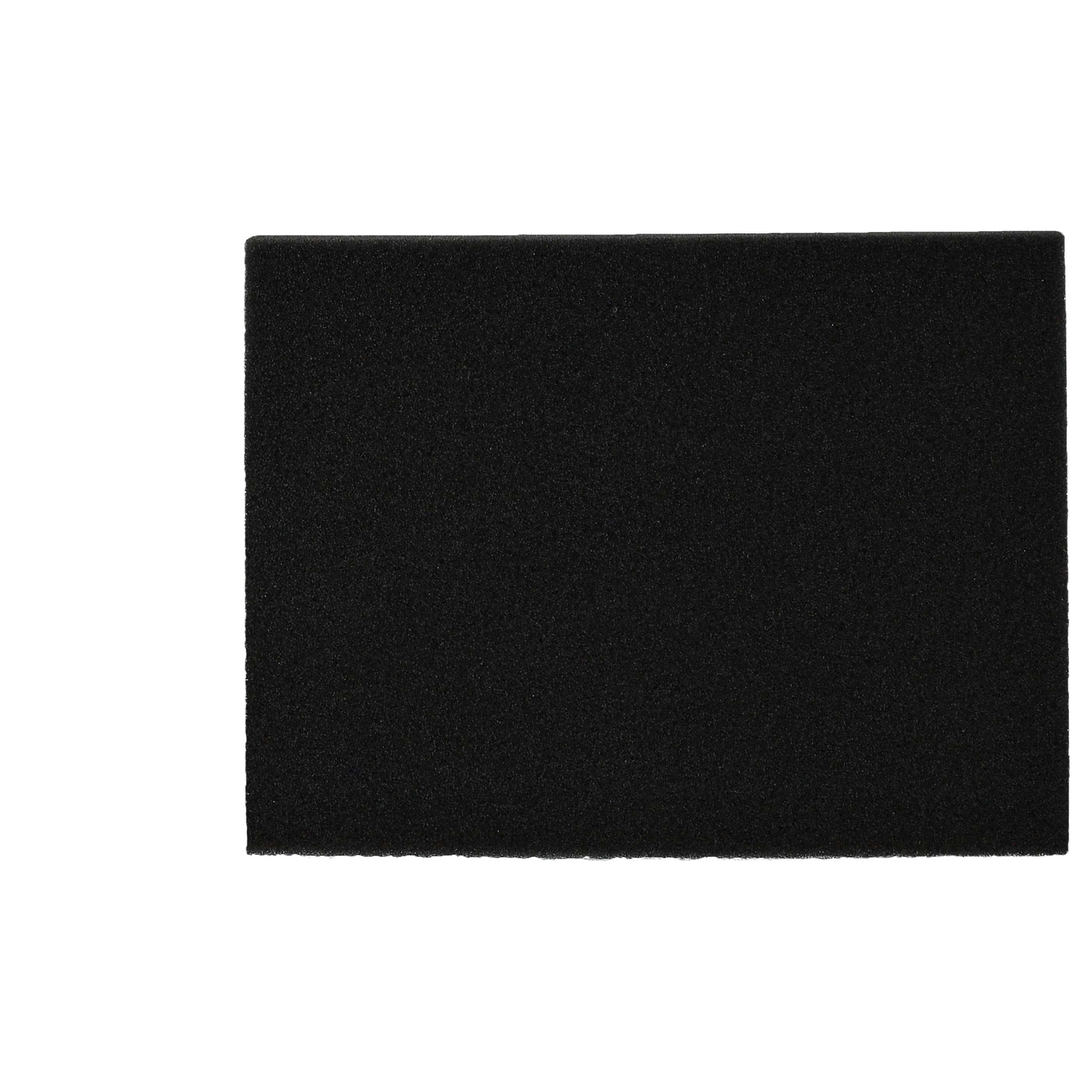 Filtro sostituisce Philips 432200039691, CP0789 per aspirapolvere