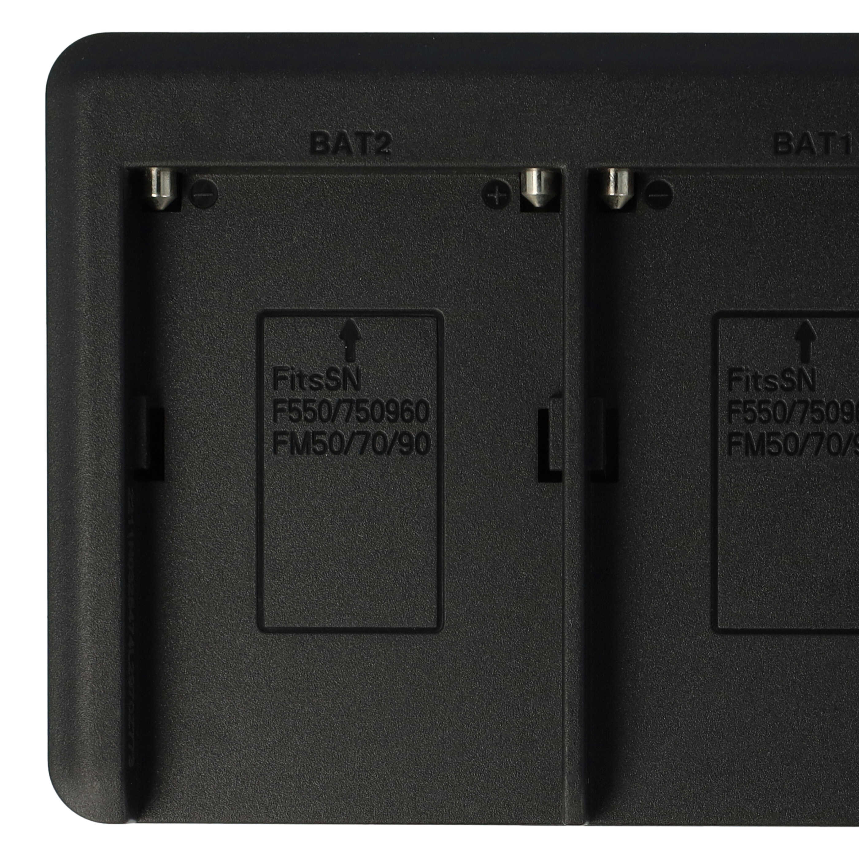 Battery Charger Micro-USB + USB-C + Cable Micro-USB suitable for Grundig, AML, Hitachi, JVC Digital Camera etc