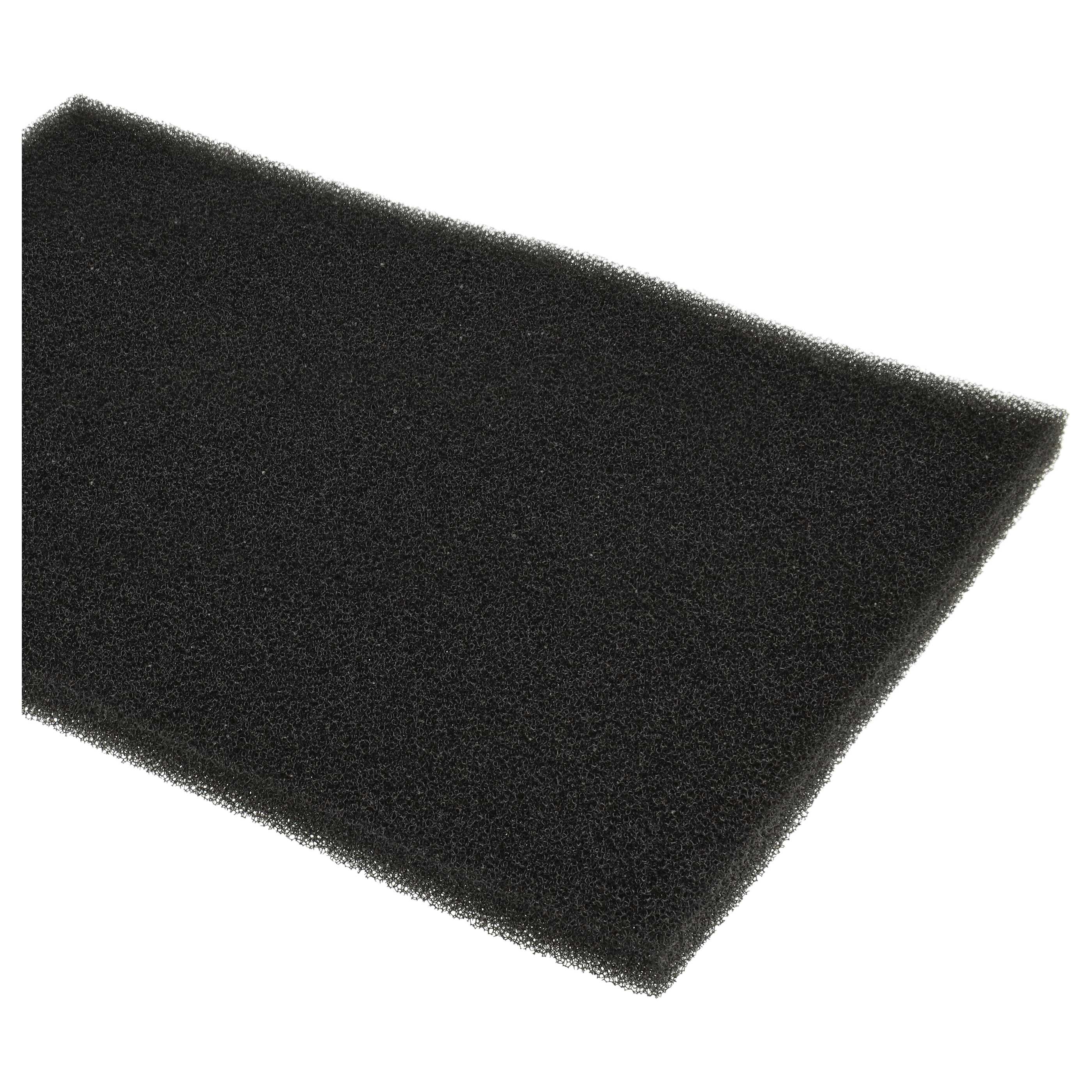Filter Set (2x foam filter) as Replacement for 1123156000 Tumble Dryer