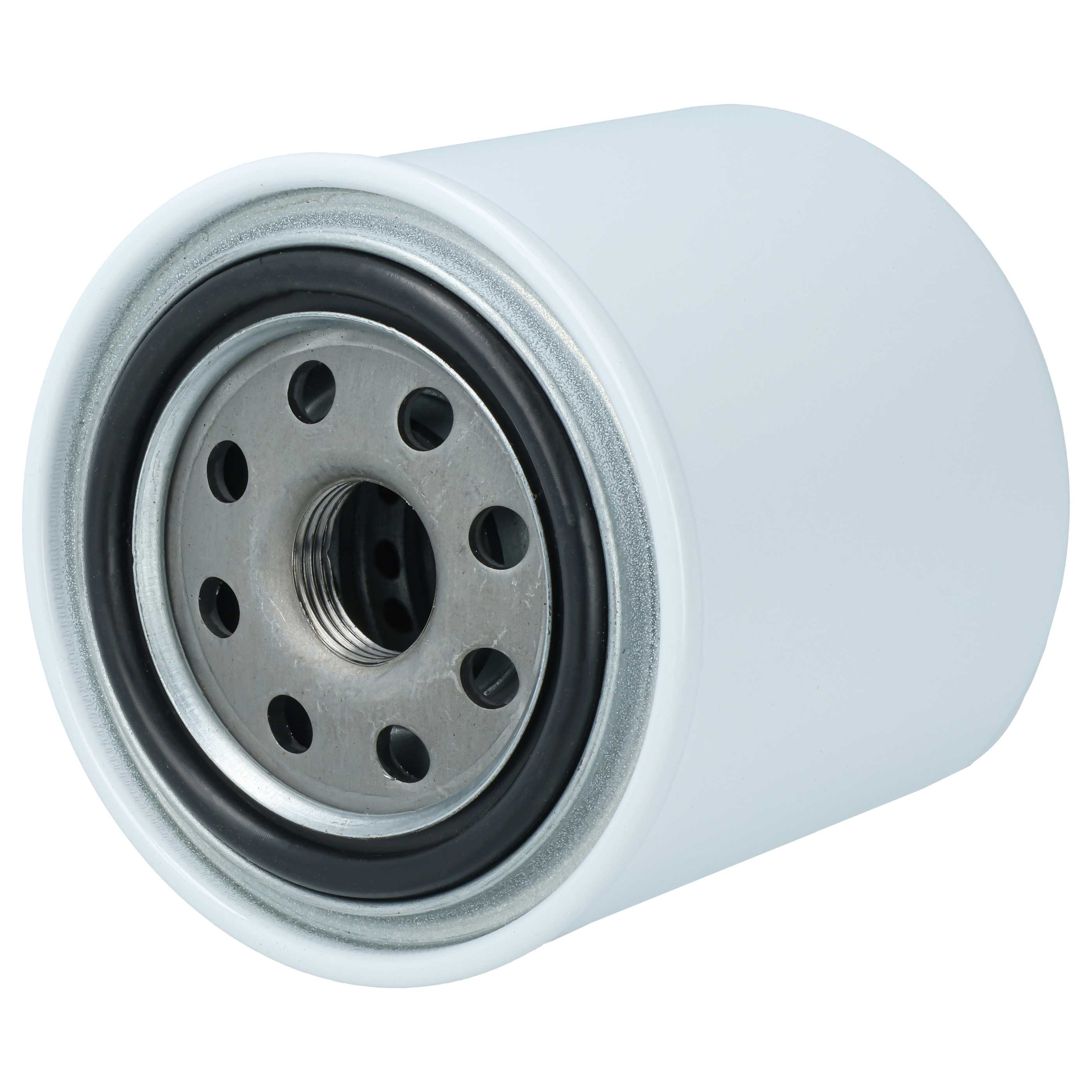 Auto-Kraftstofffilter als Ersatz für ACDelco ACD000193, 95631282, TP1231, TP1119