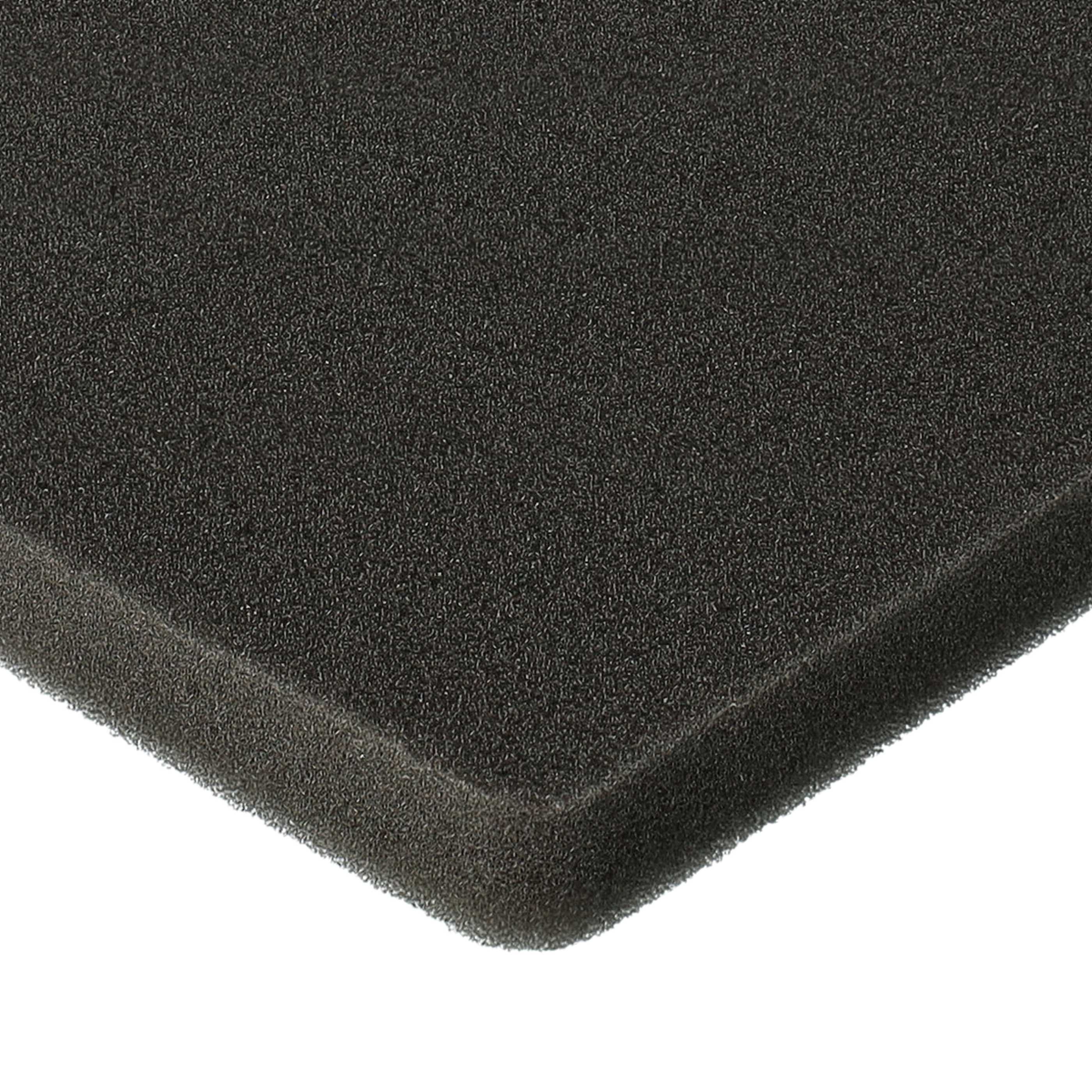2x Filterexhaust filter / sponge filter replaces Electrolux 1180215012 for Electrolux Vacuum Cleaner