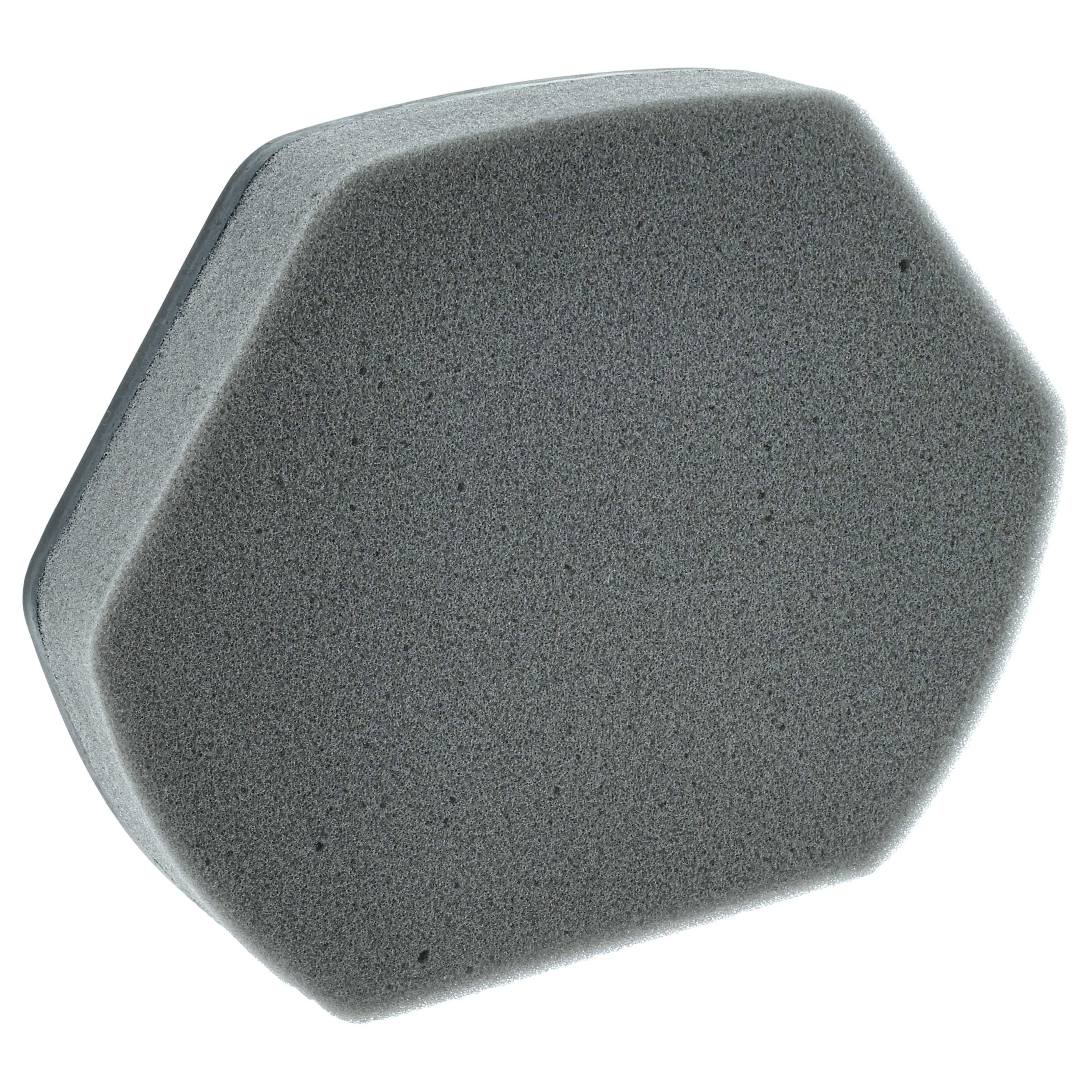 2x foam filter replaces Bosch BD-00579275, 00579275 for Bosch Vacuum Cleaner