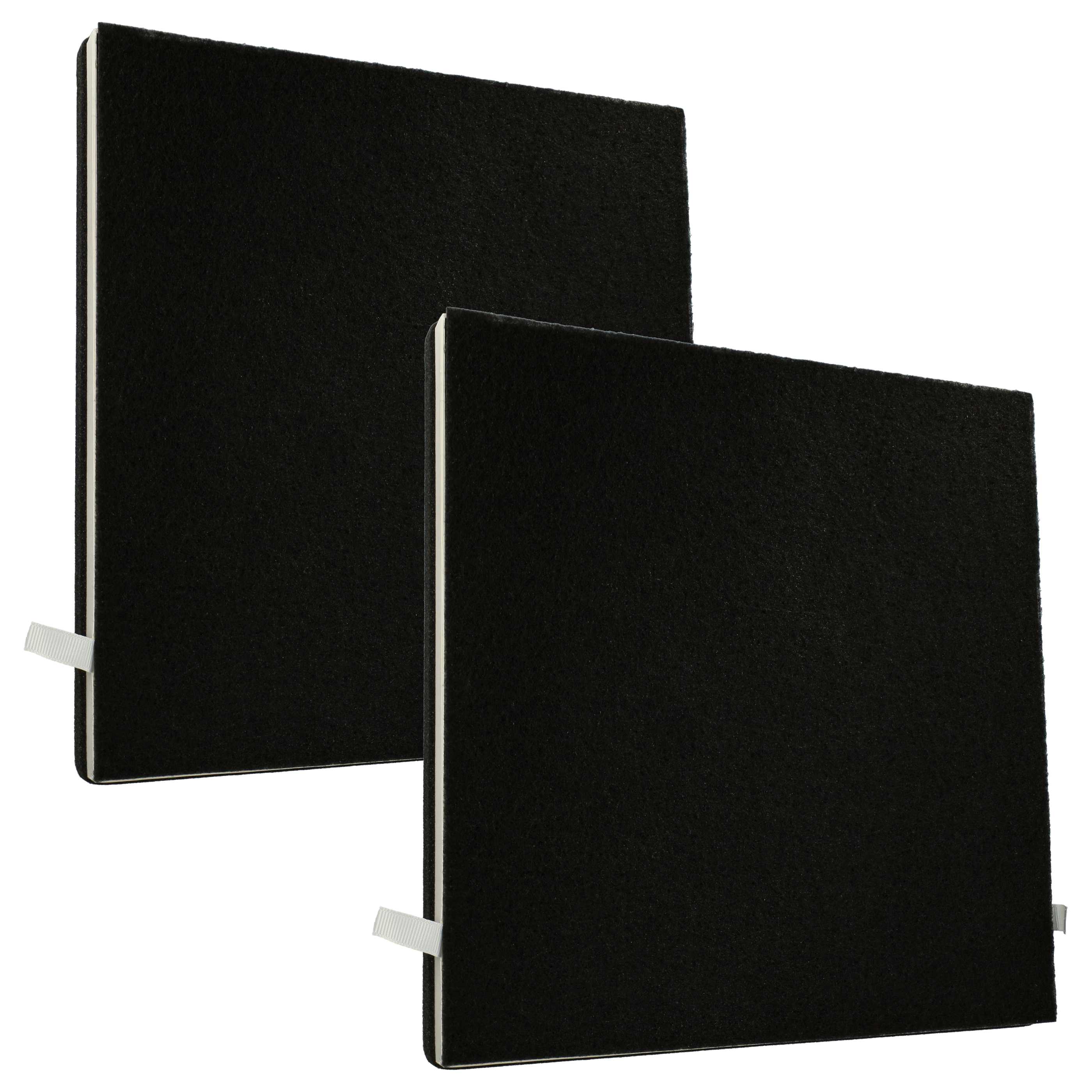 2x Filter als Ersatz für 10029862 u.a. - HEPA + Aktivkohle, 30,1 x 28,4 x 2,8 cm