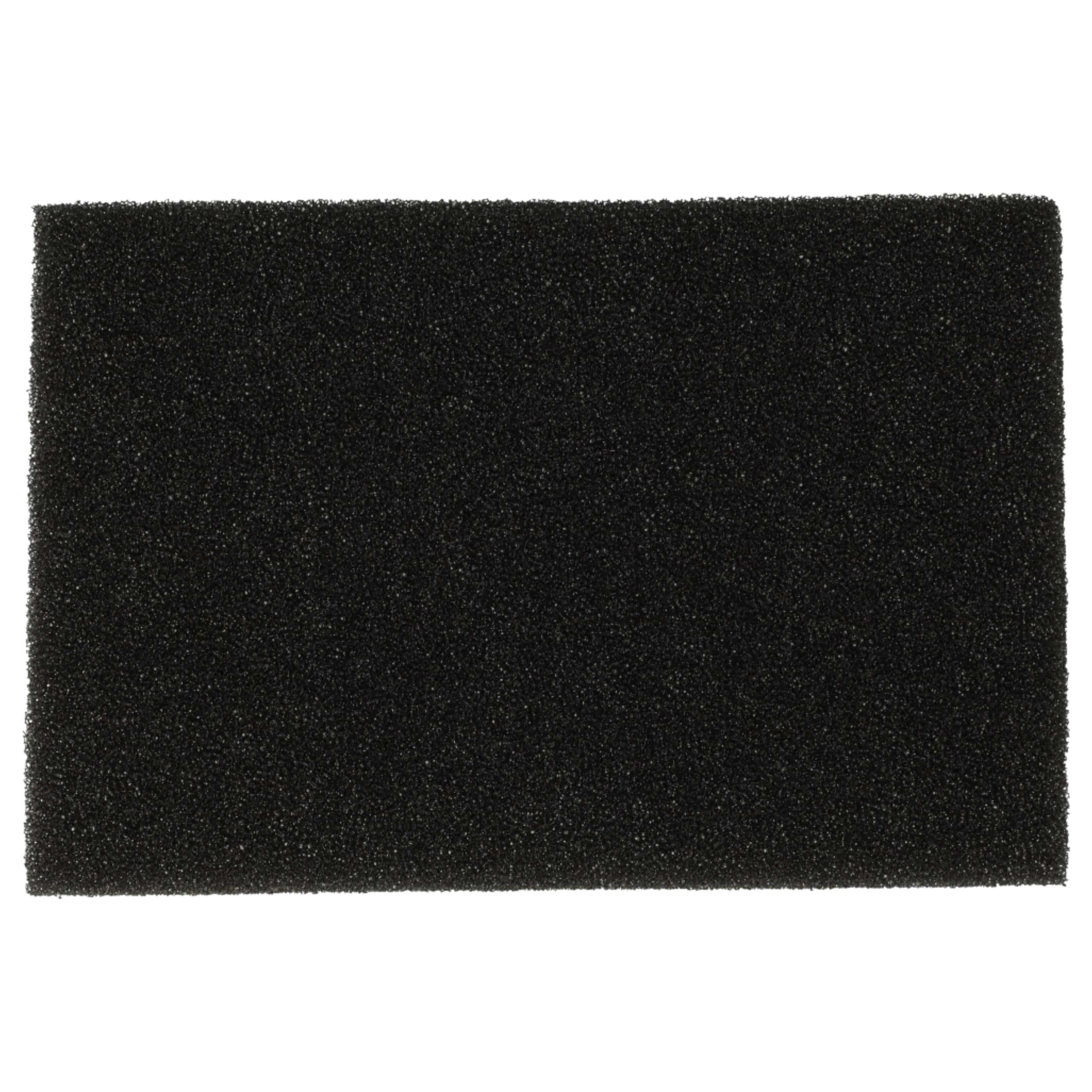 10x Filterfoam filter replaces 1096168008, 421000466500/7, 109616800/8 for Privileg Vacuum Cleaner, 8 x 12 cm
