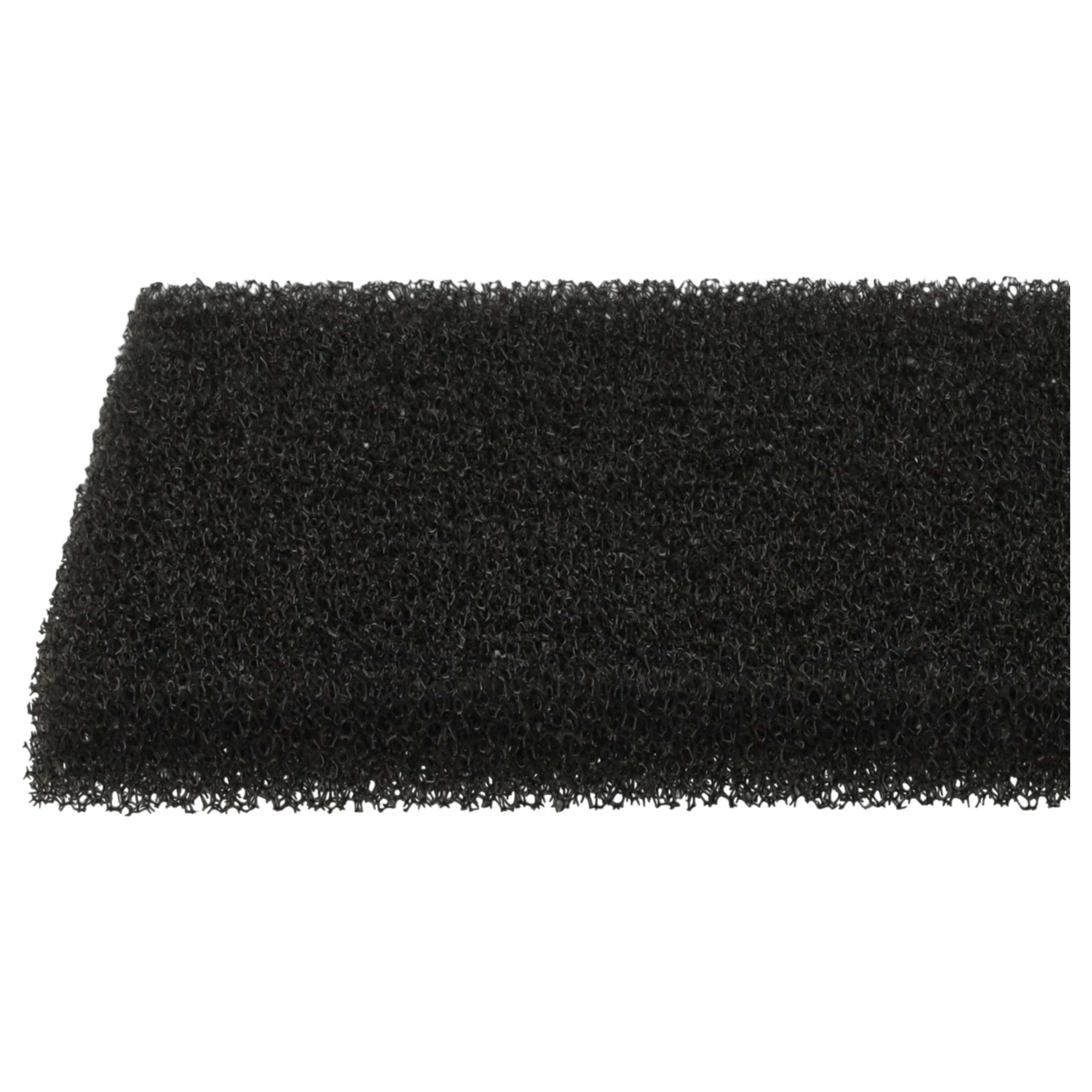 10x Filterfoam filter replaces 1096168008, 421000466500/7, 109616800/8 for Privileg Vacuum Cleaner, 8 x 12 cm