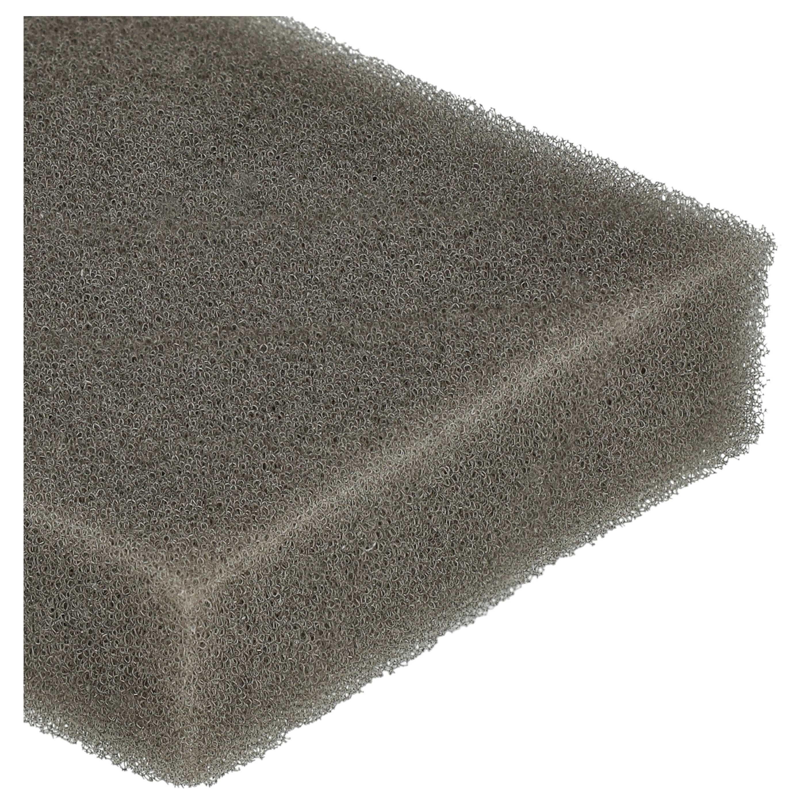 2x Filtersponge filter suitable for Leifheit Regulus Aqua PowerVac Vacuum Cleaner