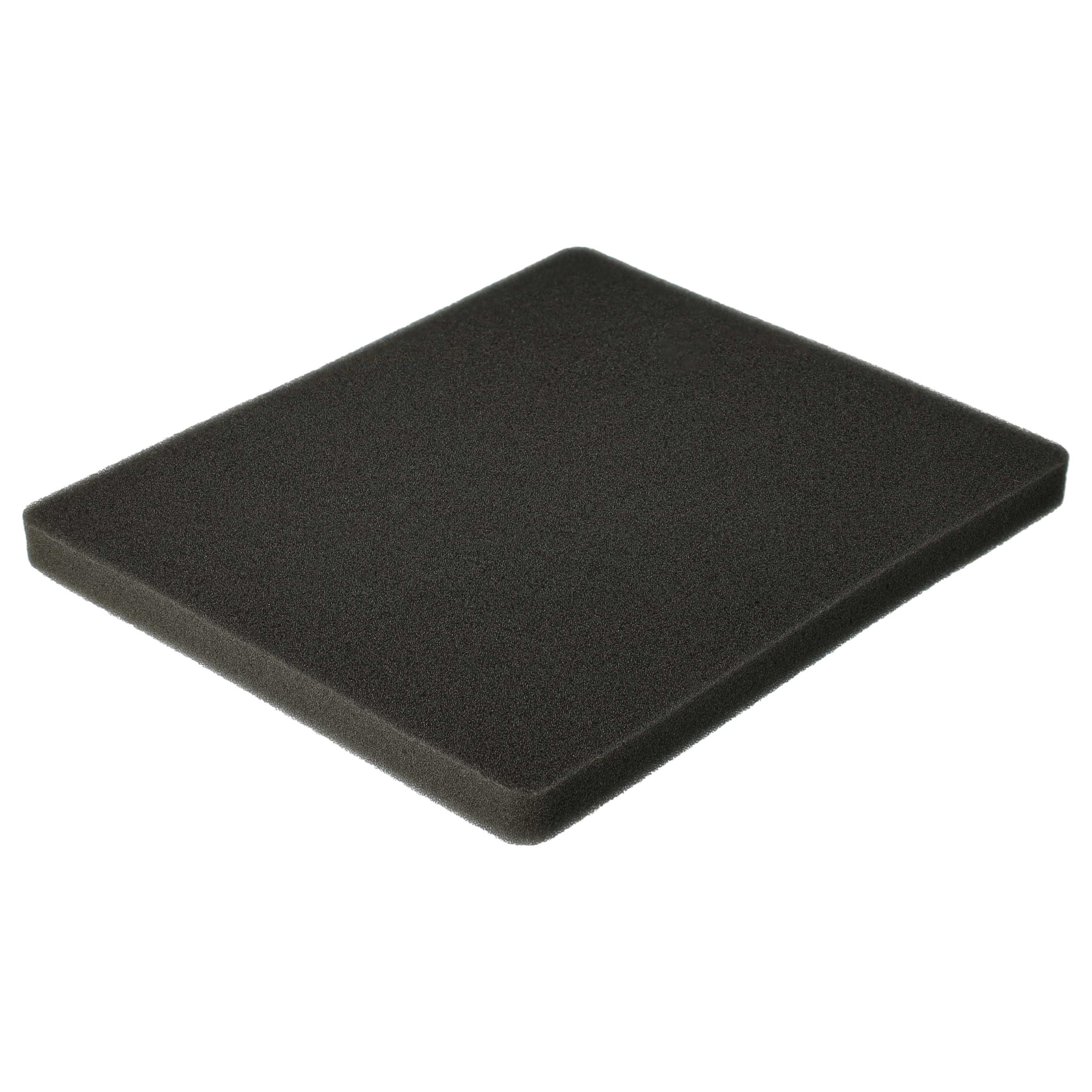 2x Filterexhaust filter / sponge filter replaces Electrolux 1180215012 for Electrolux Vacuum Cleaner
