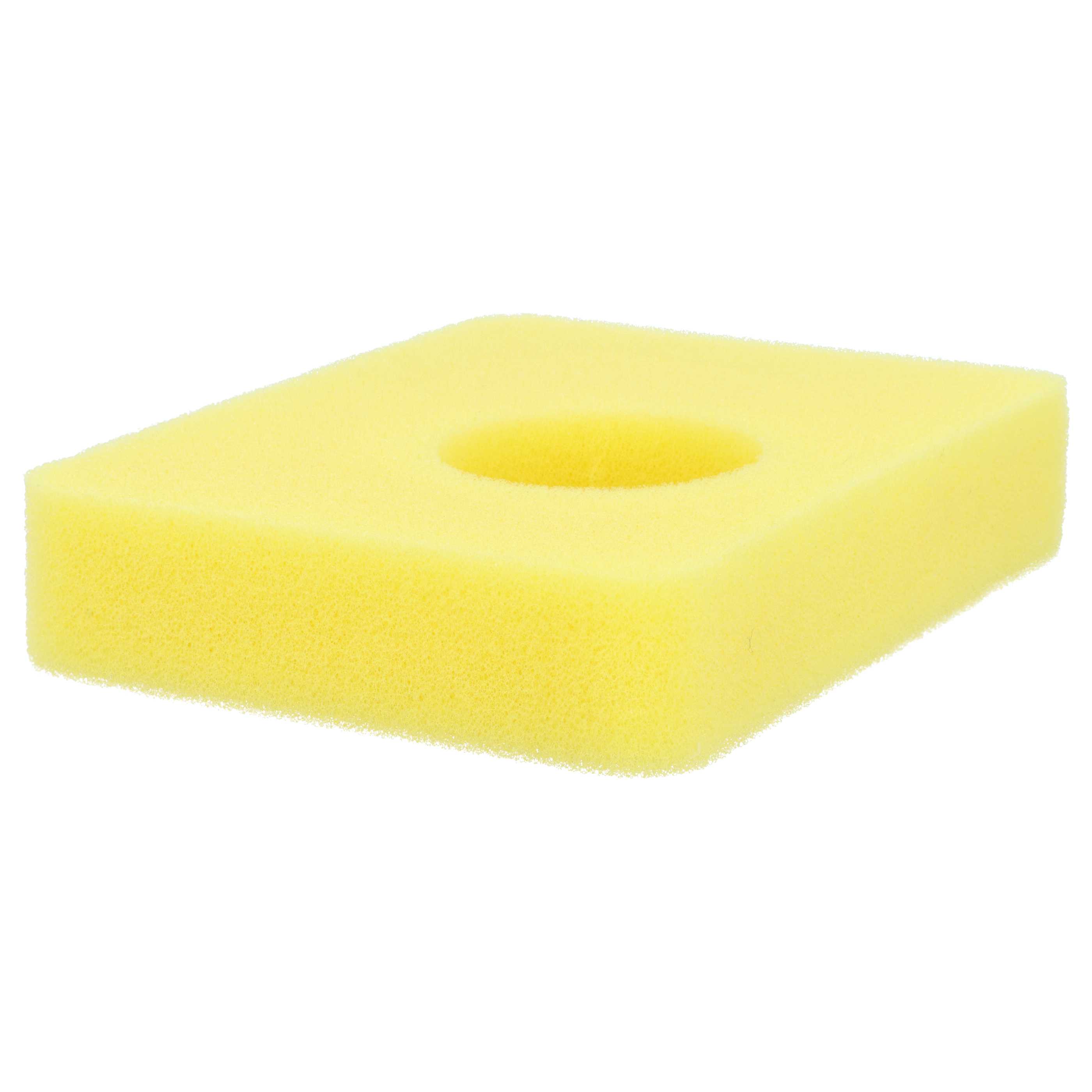 Filtro dell'aria di schiuma sostituisce Briggs & Stratton 799579, 5434 per motore del tosaerba 