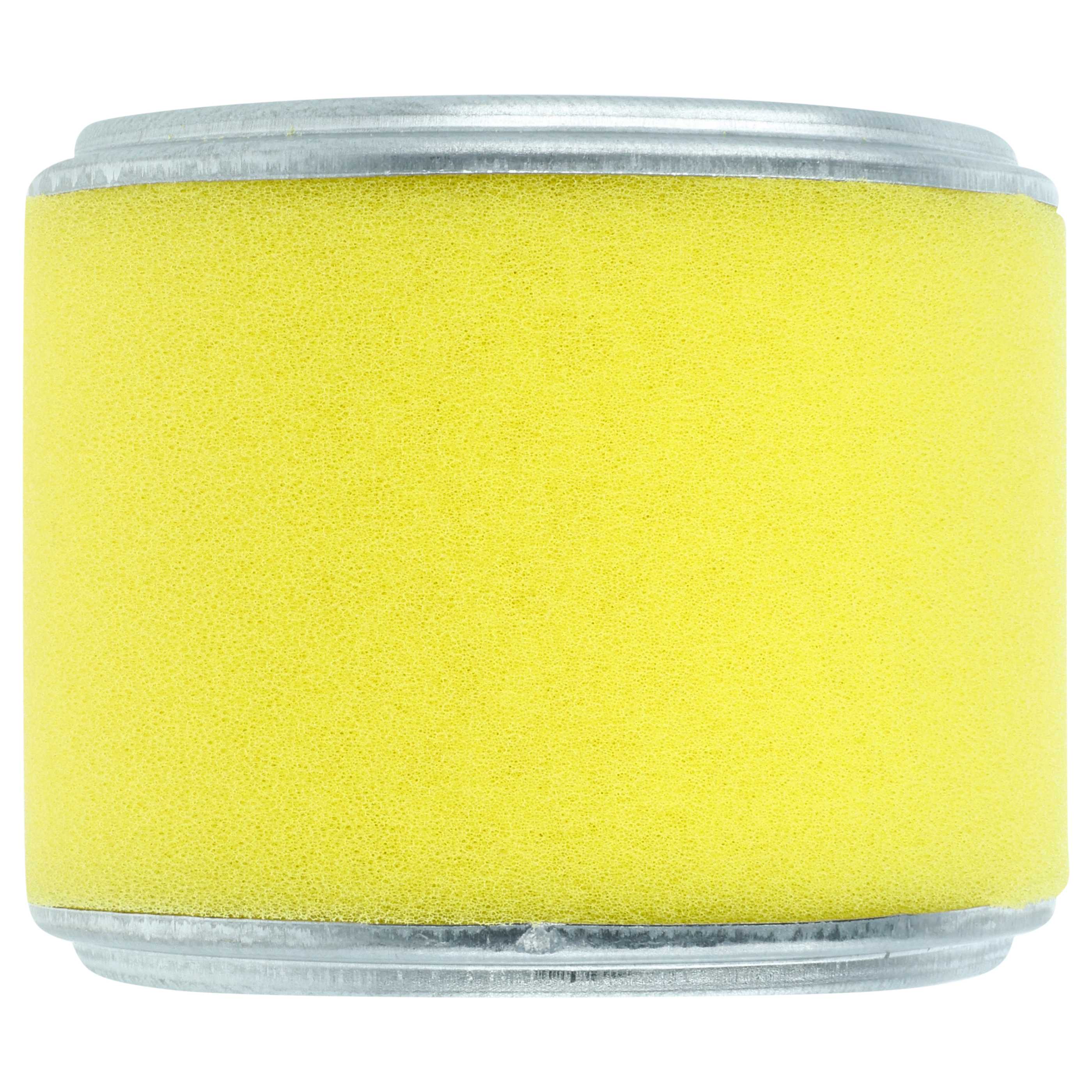 Filter replaces Honda 17218-ZE2-821, 17218-ZE2-505, 17210-ZE2-822, 17210-ZE2-515, 17210-ZE2-505 Lawn Mower