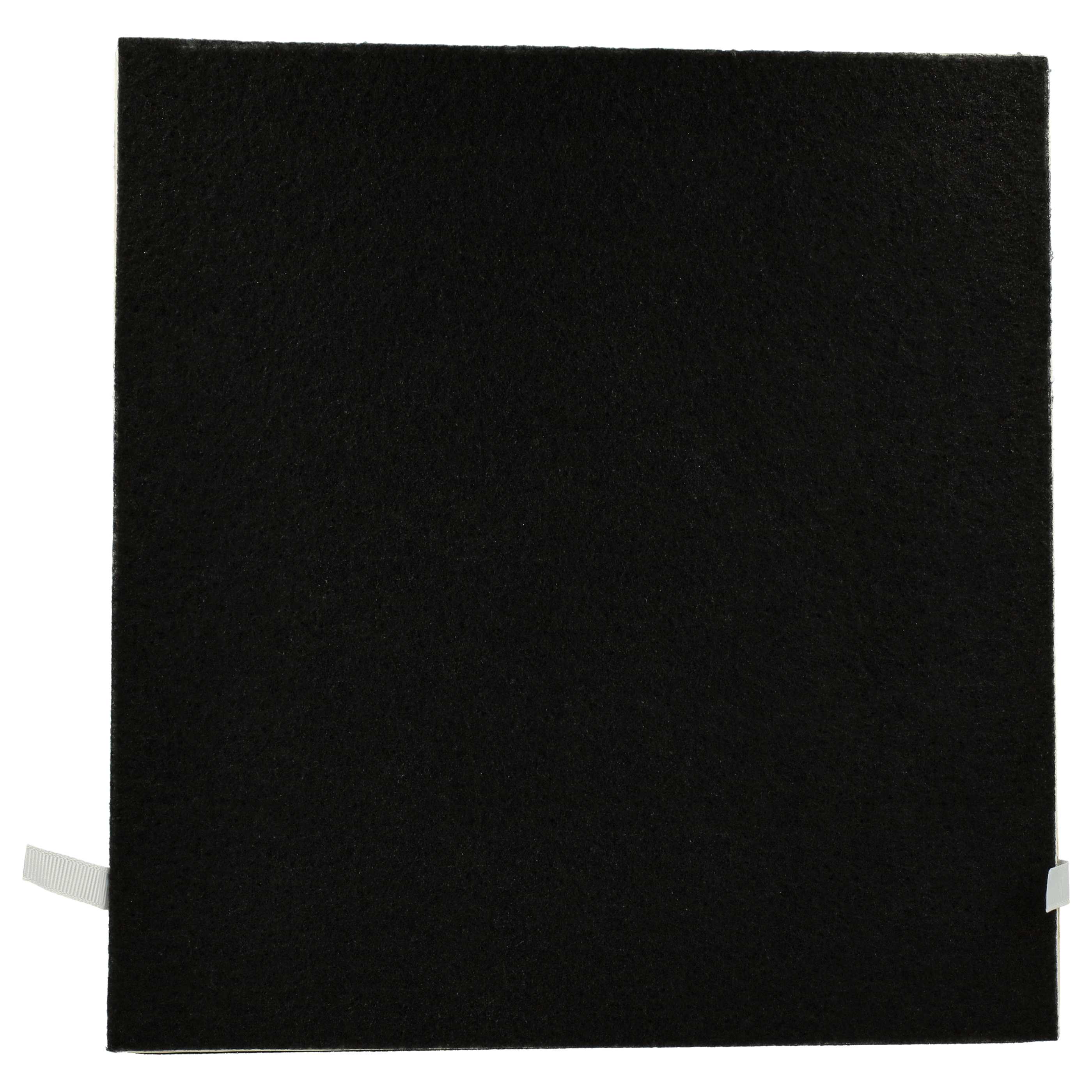 2x Filtre remplace 10029862 purificateur - HEPA + charbon actif, 30,1 x 28,4 x 2,8cm