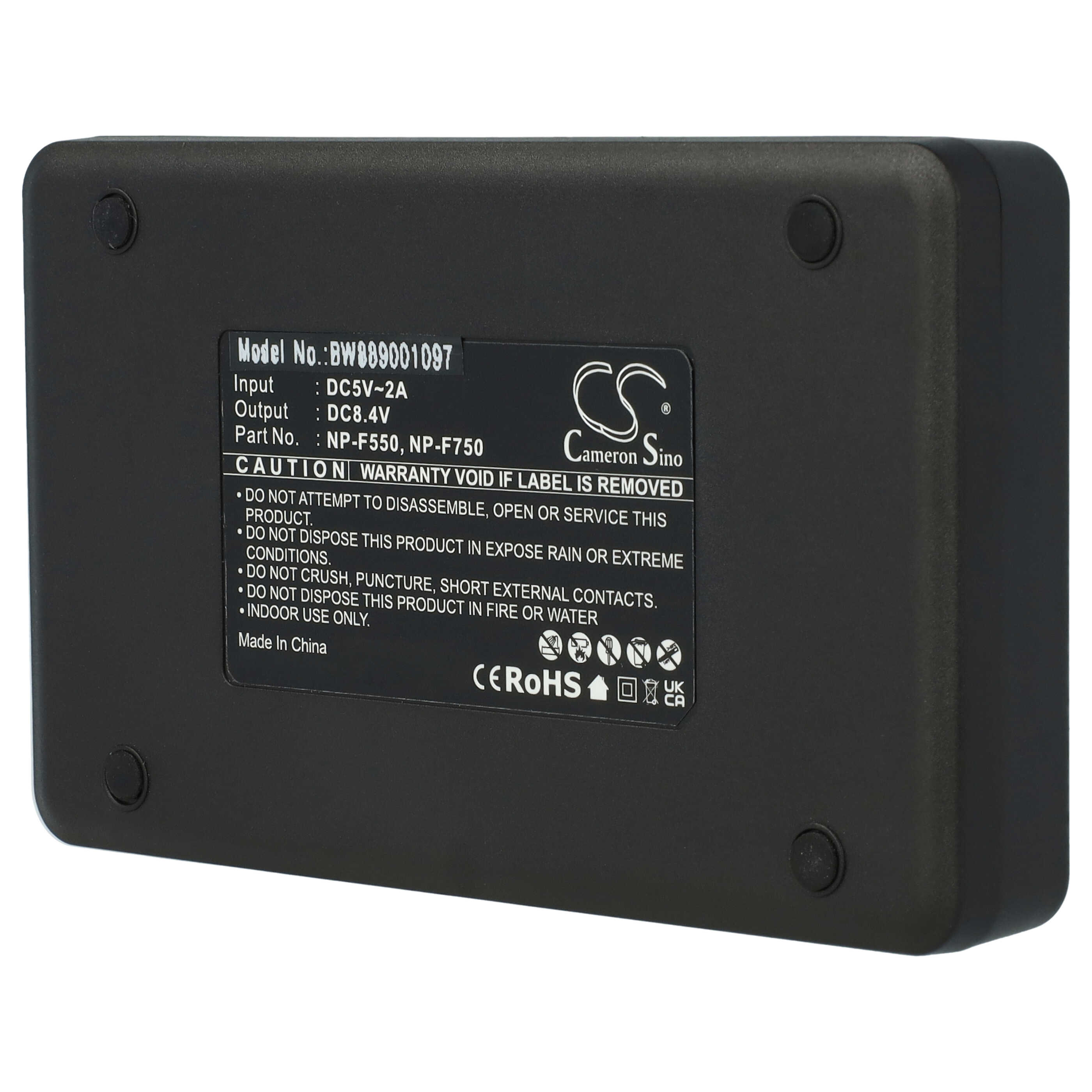 Battery Charger Micro-USB + USB-C + Cable Micro-USB suitable for Grundig, AML, Hitachi, JVC Digital Camera etc
