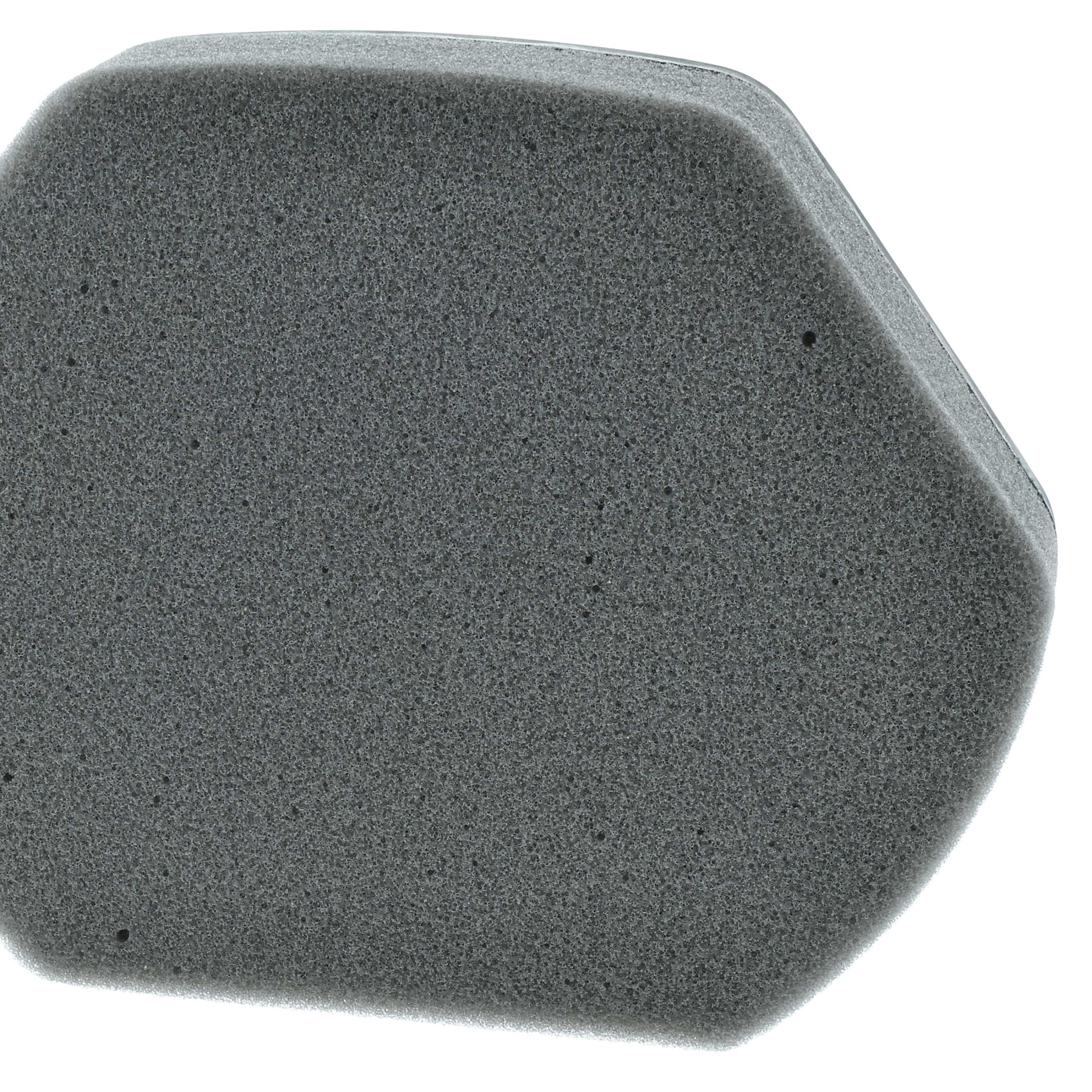 Filter Set replaces Bosch BD-00579275, 00579275 for Bosch Vacuum Cleaner - Vacuum Cleaner Filter Set