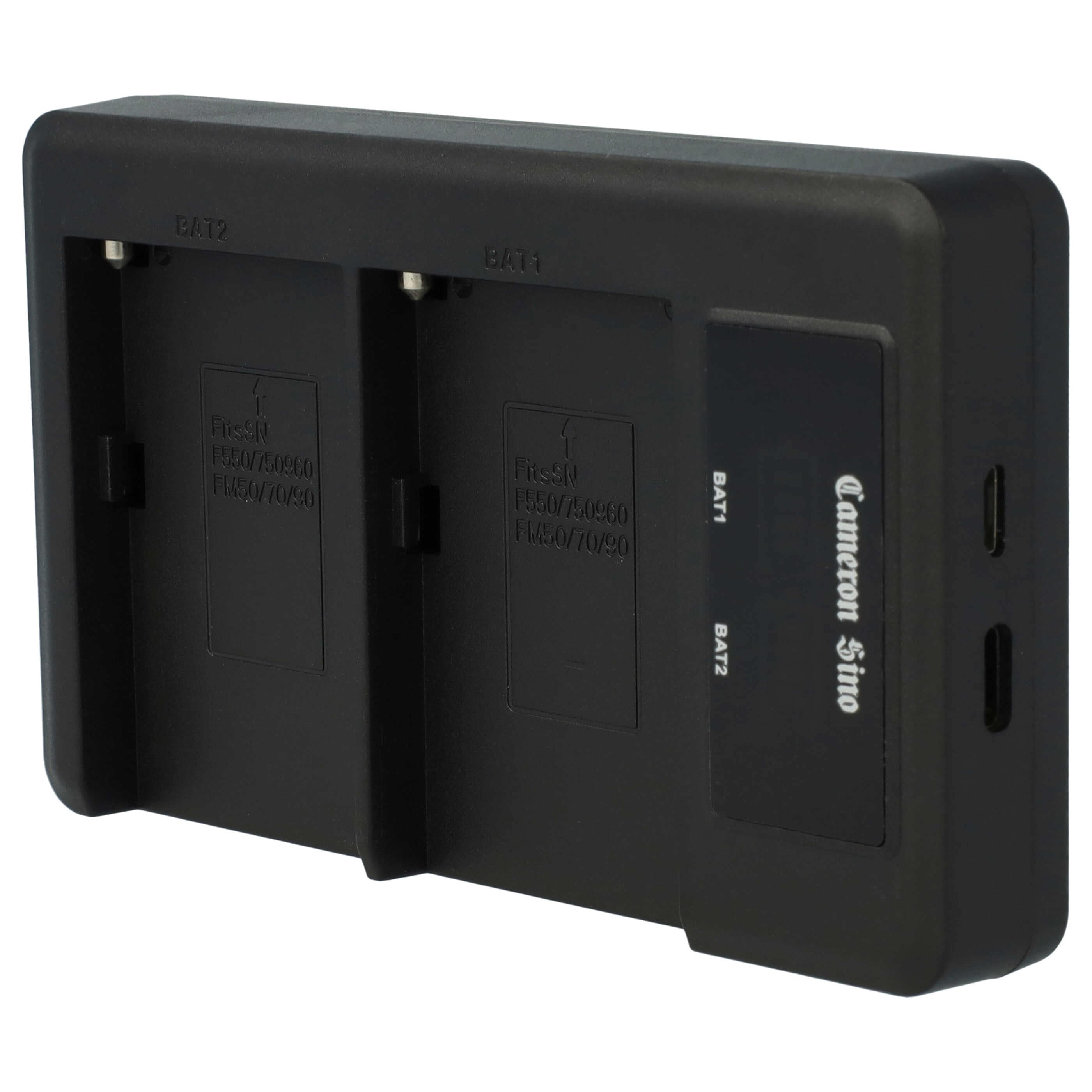 Battery Charger Micro-USB + USB-C + Cable Micro-USB suitable for Grundig, AML, Hitachi, JVC Digital Camera etc