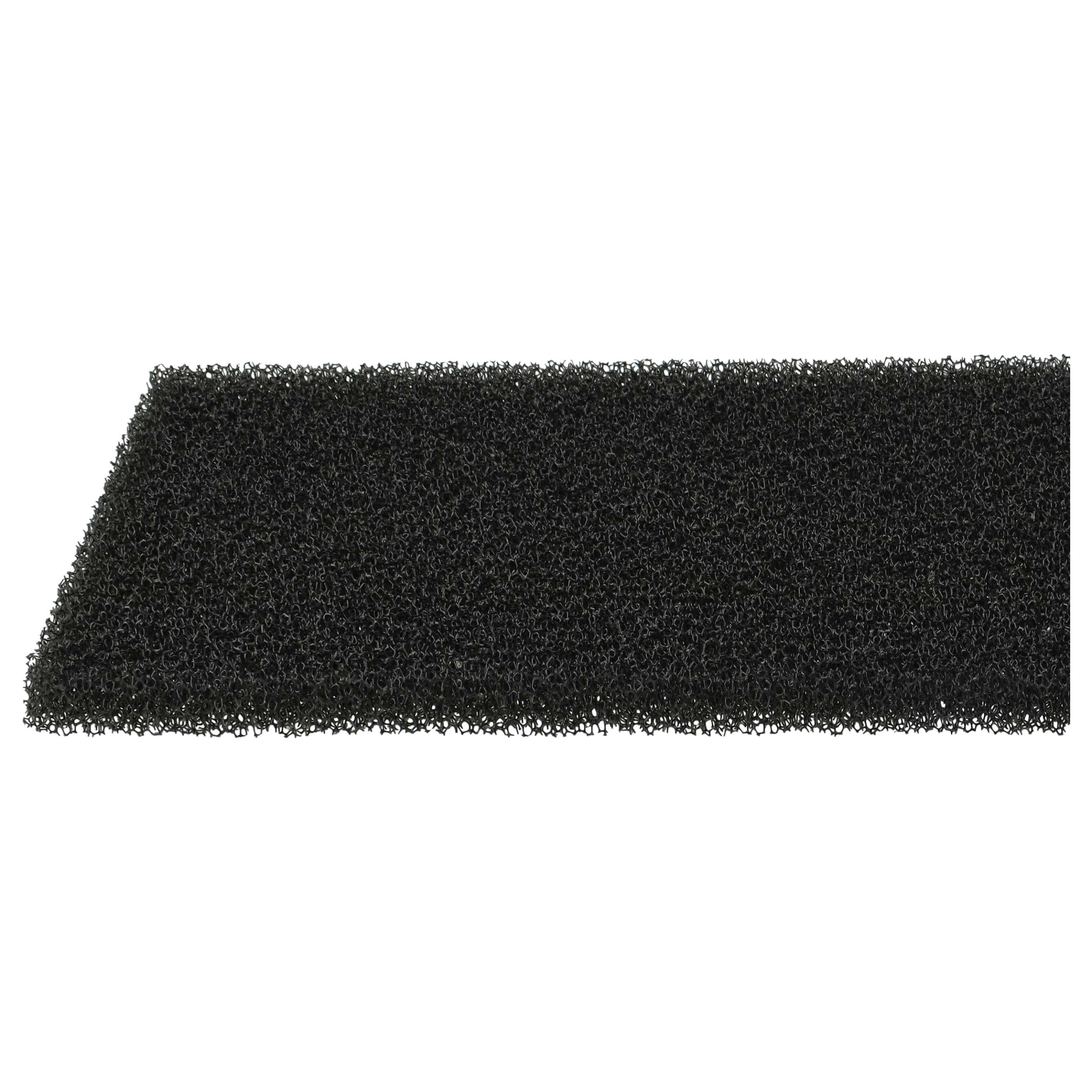 2x Filter as Replacement for Blomberg 2952560100 Tumble Dryer etc.