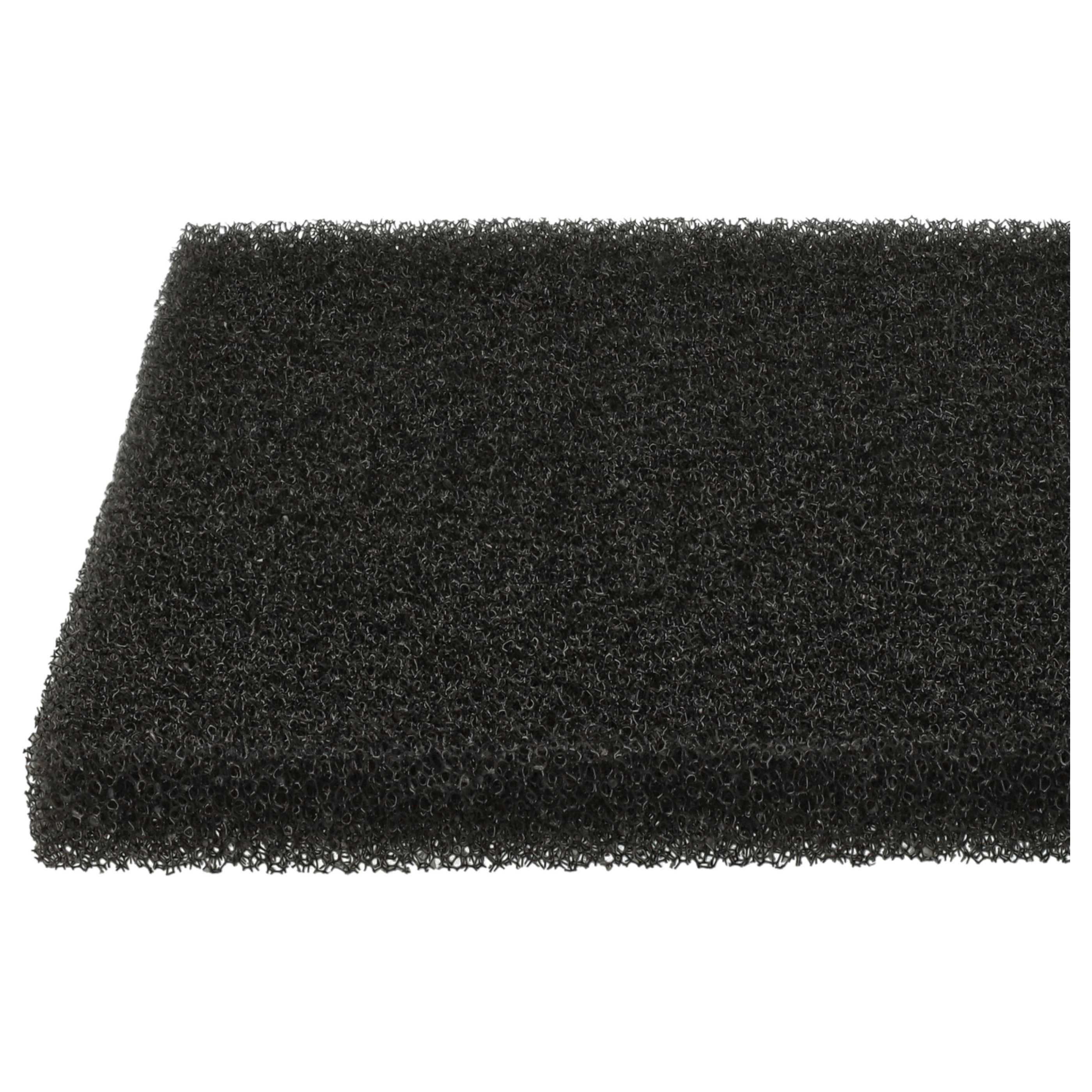 10x Filterfoam filter replaces 1096168008, 421000466500/7, 109616800/8 for Privileg Vacuum Cleaner, 8 x 12 cm