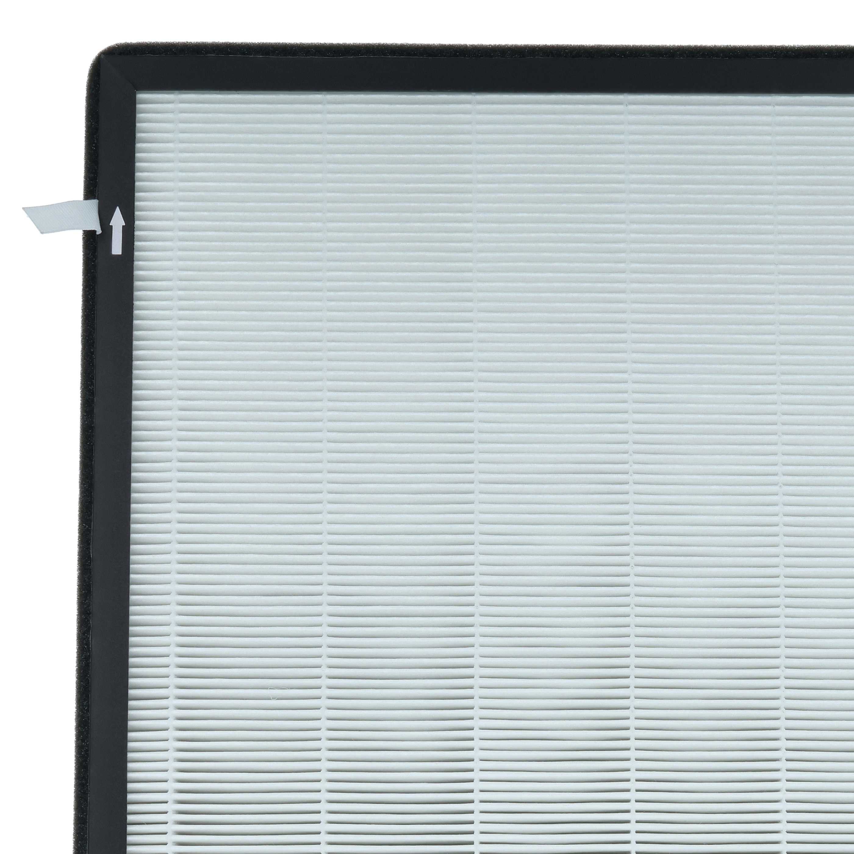 2x Filtro per Fakir Luminoso Smart, - HEPA (H14) + carbone attivo