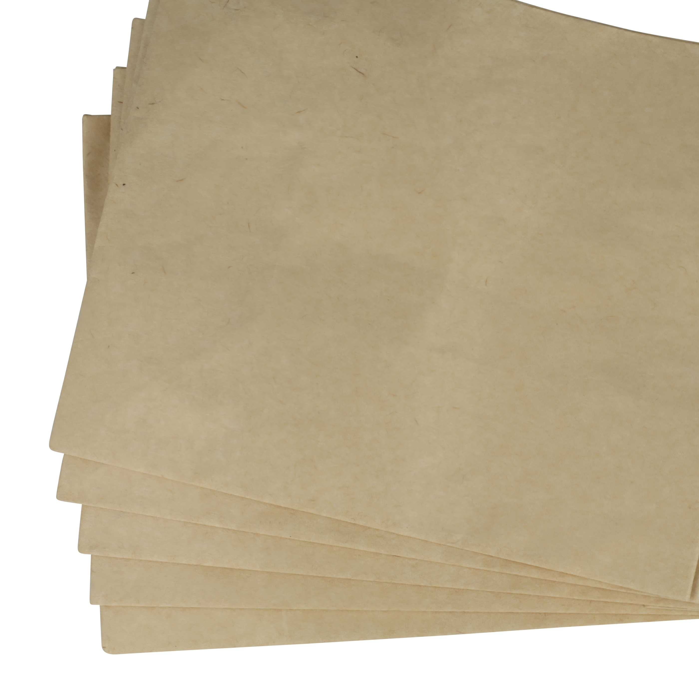 5x Sacchetto sostituisce Bosch 2609256F34 per aspiratore, carta, doppio strato