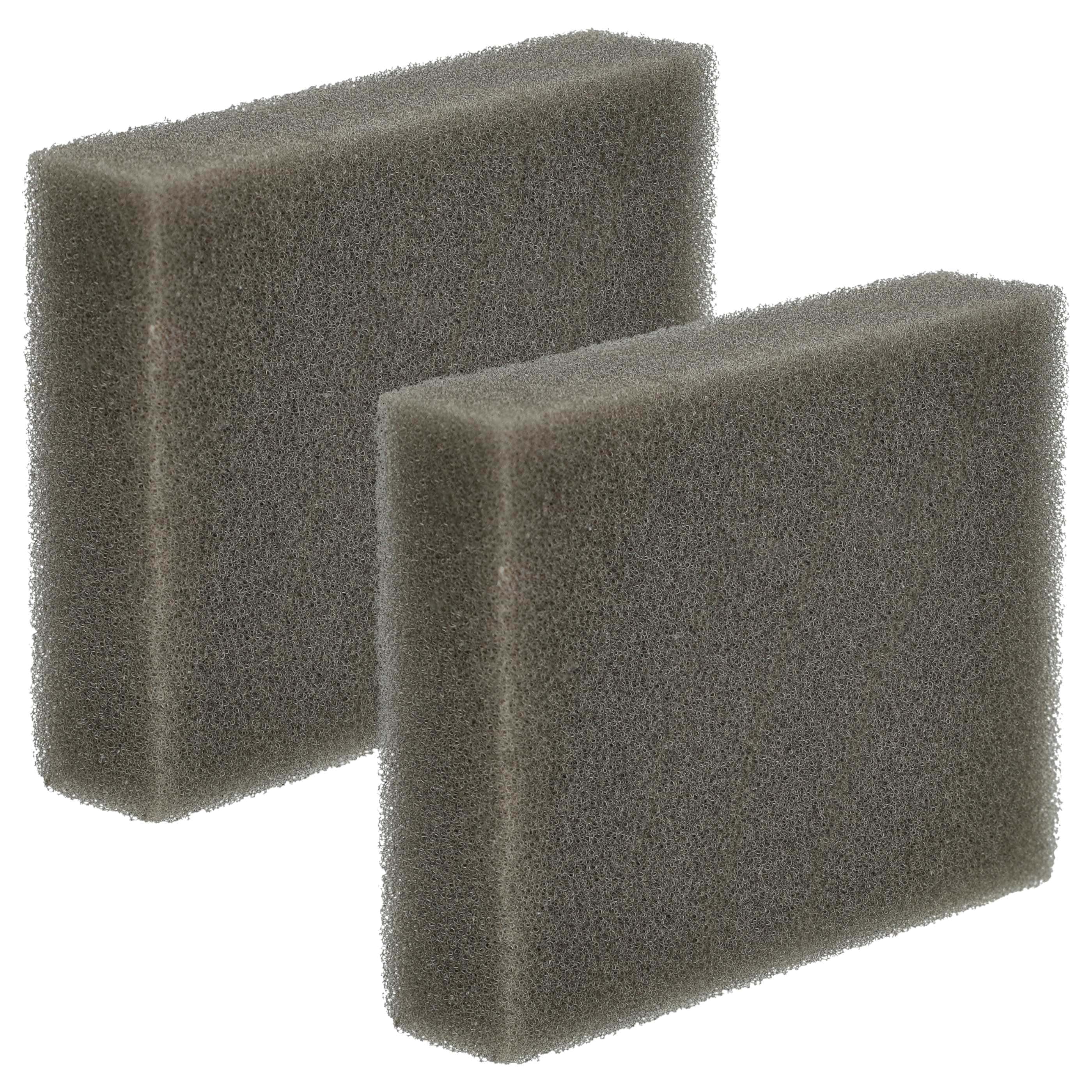 2x Filtersponge filter suitable for Leifheit Regulus Aqua PowerVac Vacuum Cleaner