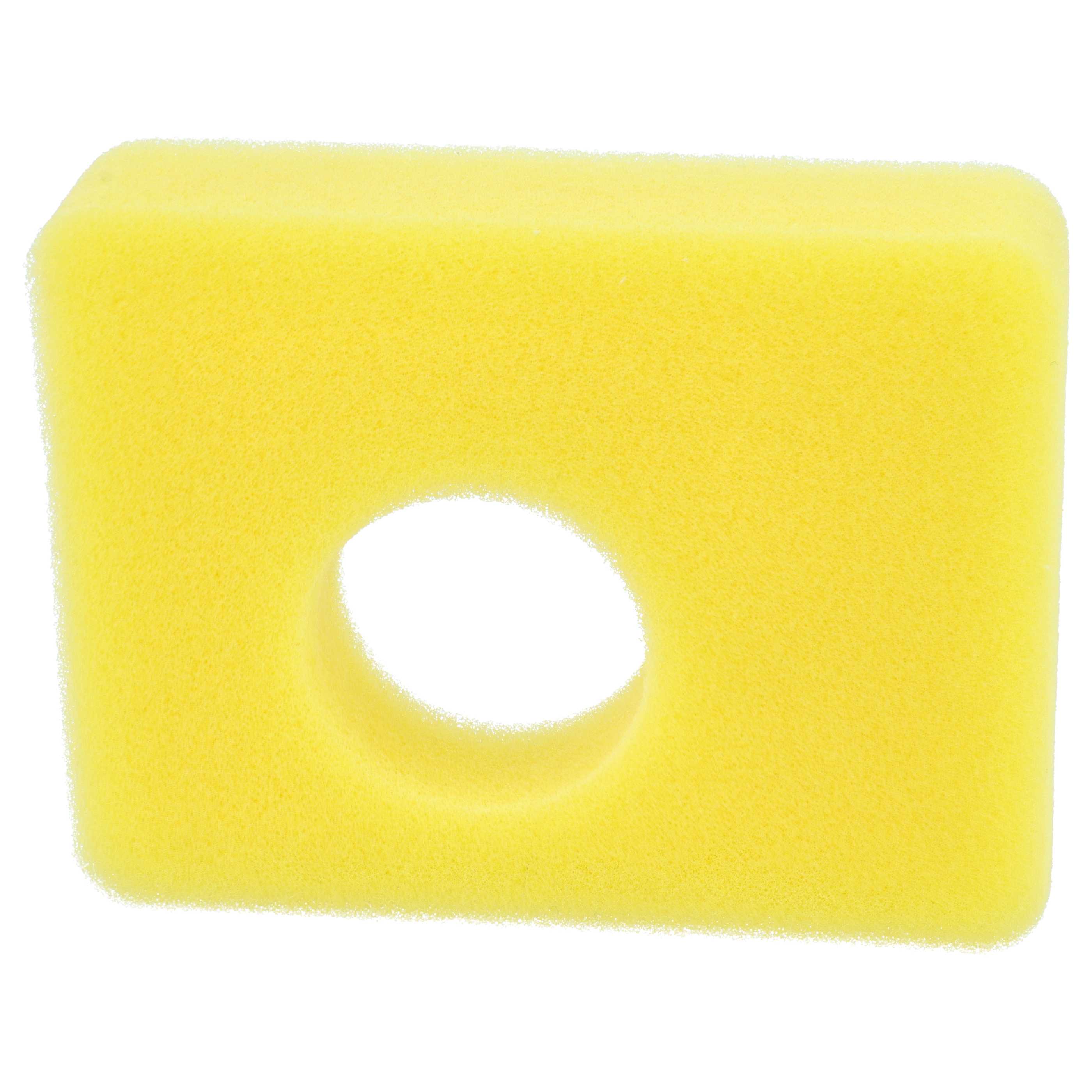 Filtro dell'aria di schiuma sostituisce Briggs & Stratton 799579, 5434 per motore del tosaerba 