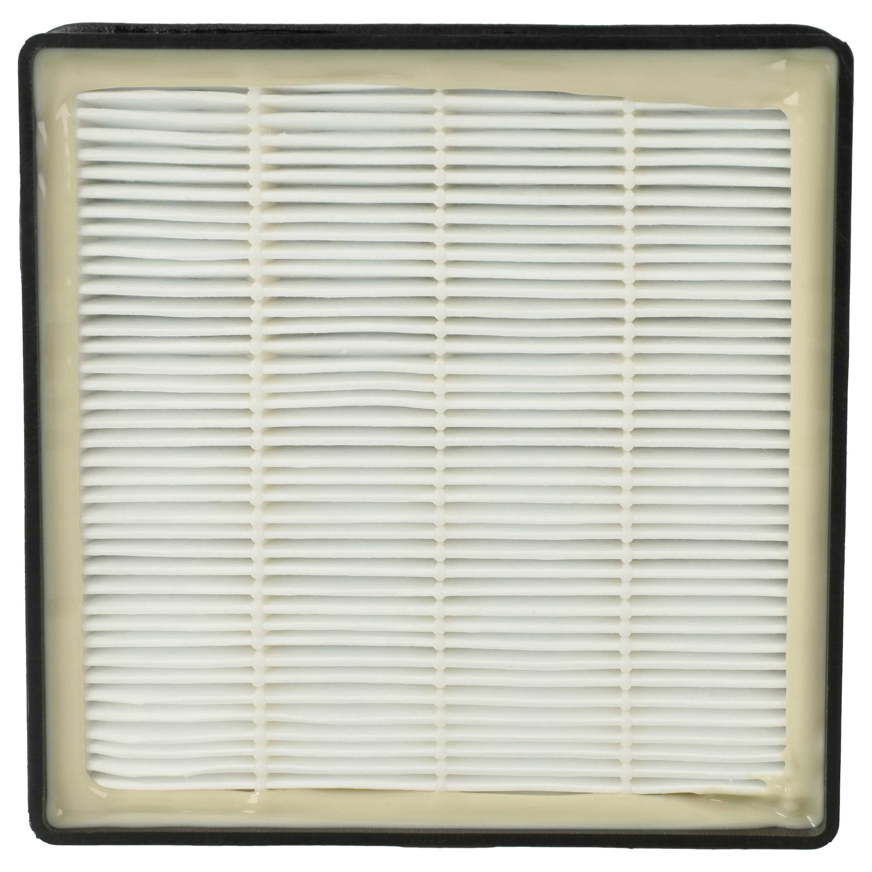 1x Filter replaces Rowenta 2210016094, RS-RT3186 for Rowenta Vacuum Cleaner