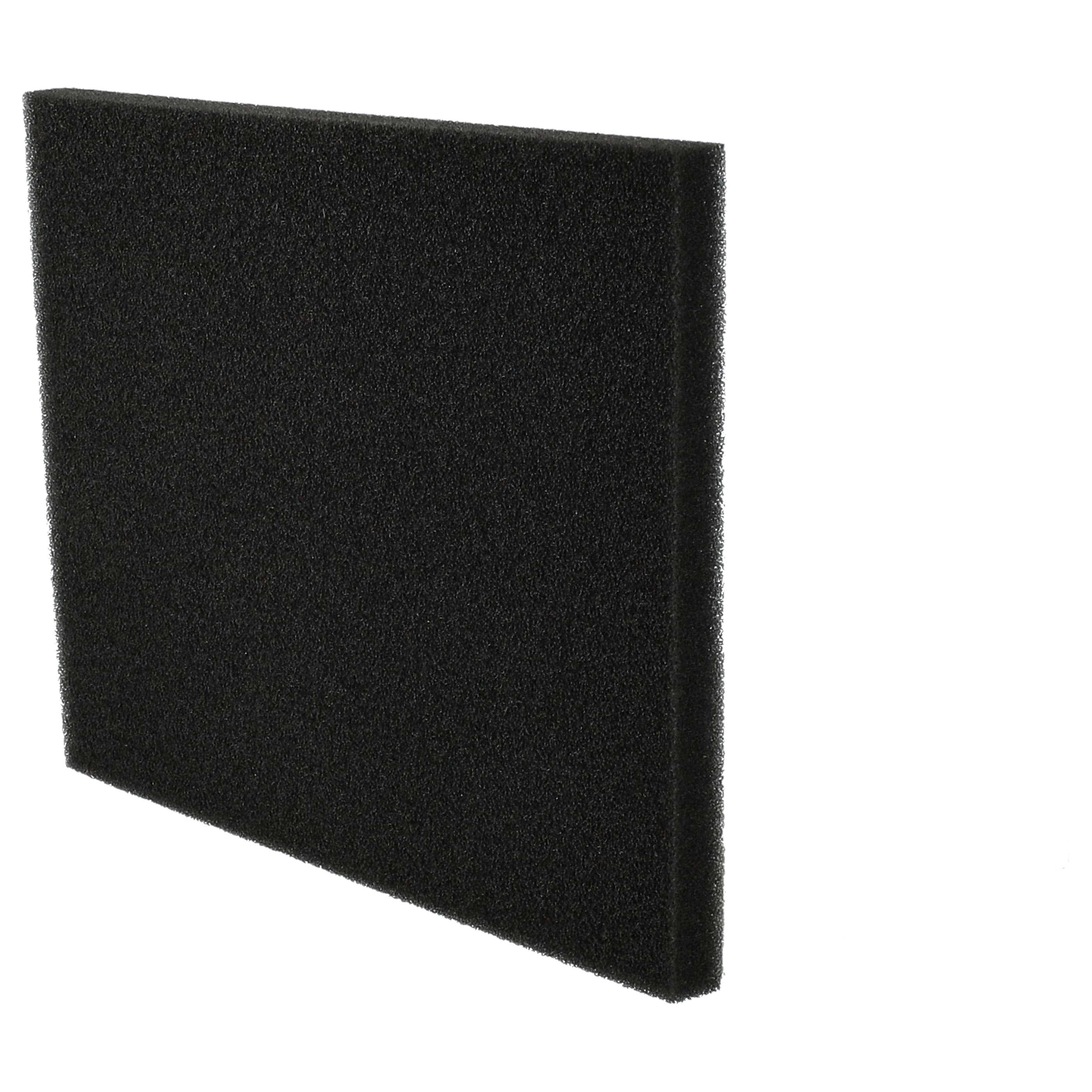 Filtro sostituisce Philips 432200039691, CP0789 per aspirapolvere