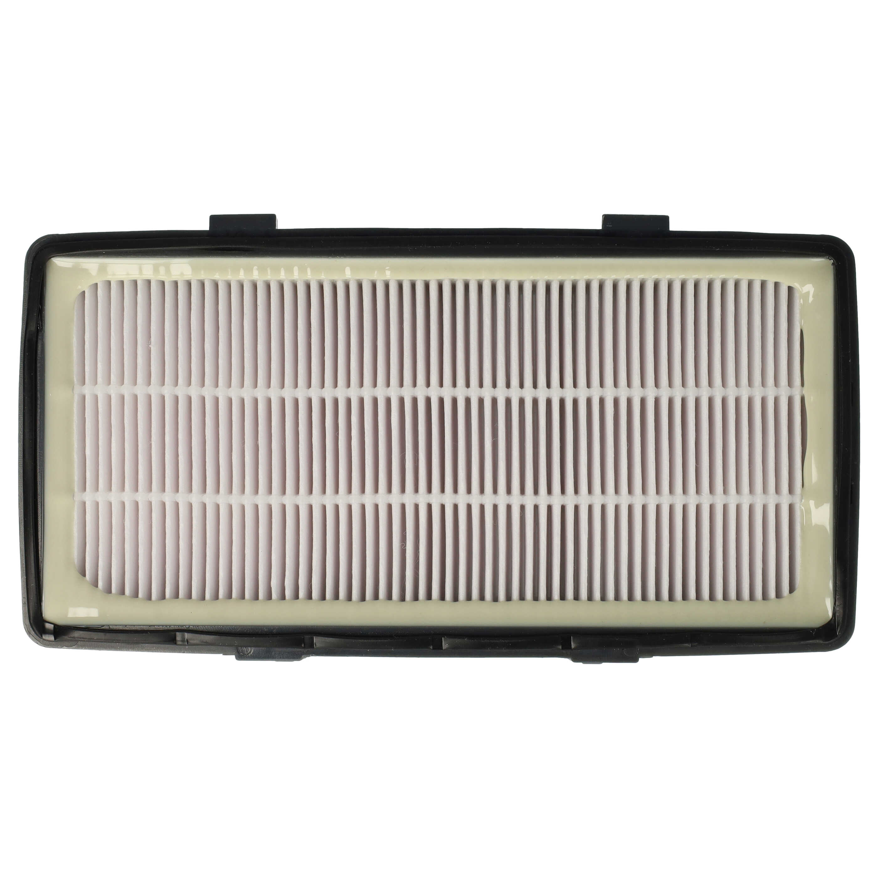 2x exhaust EPA filter replaces Rowenta RS-RT4310, ZR920101 for Rowenta Vacuum Cleaner