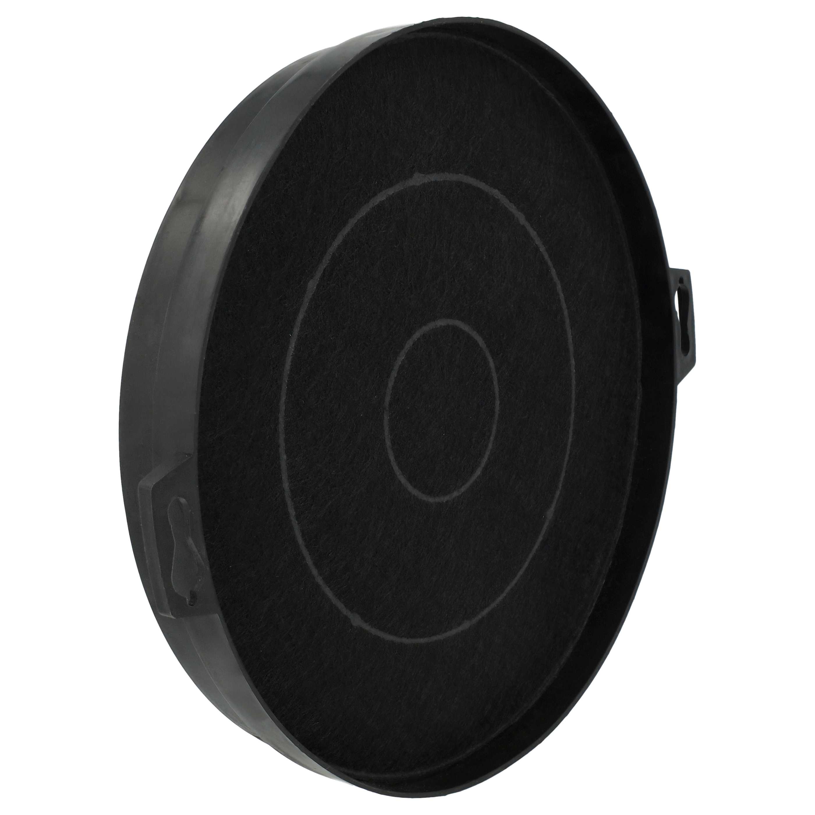 10x Filtres à charbon actif remplace AEG 7332543706709, 9029801520, 9029793719, 902980152 pour hotte Proline