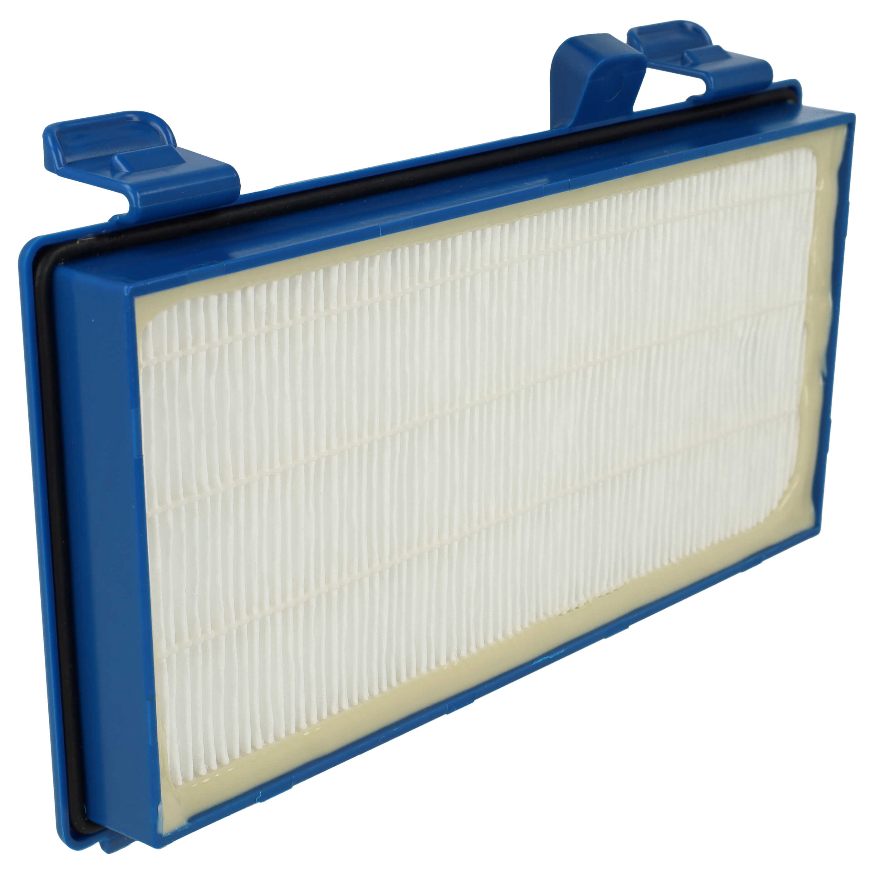Filtro sostituisce Rowenta RS-RT3931, ZR902301 per aspirapolvere - filtro HEPA, bianco / blu