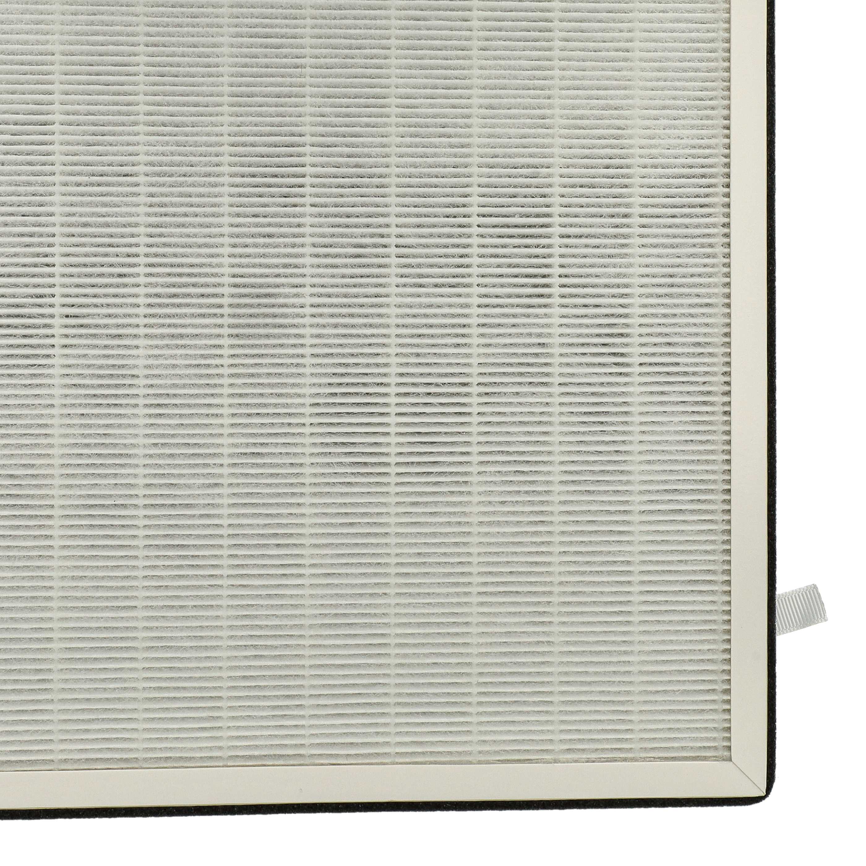 Filter as Replacement for 10029862 etc. - HEPA + Activated Carbon