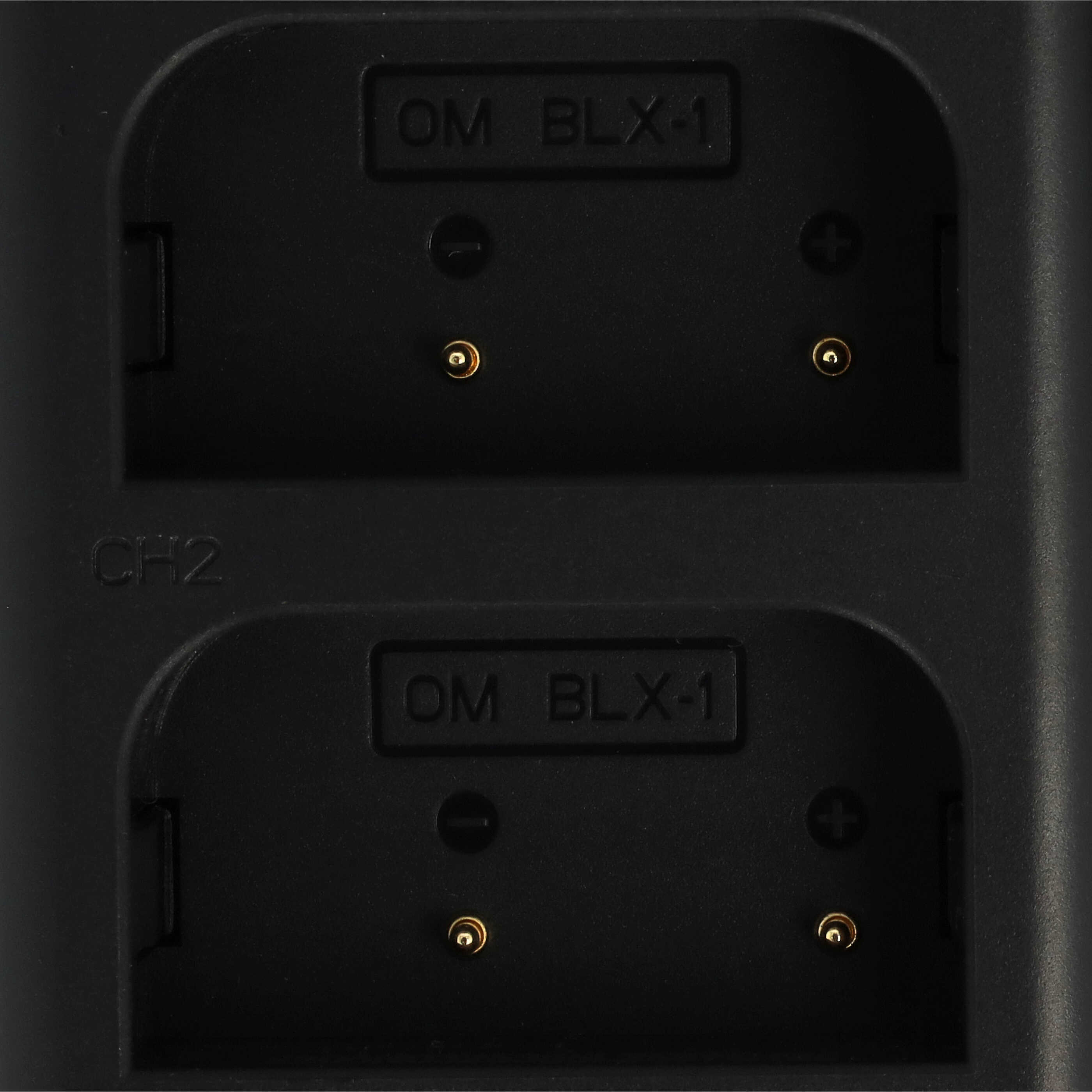 Battery Charger Micro-USB + USB-C suitable for Olympus OM-1 Mirrorless Digital Camera - 0.5 A
