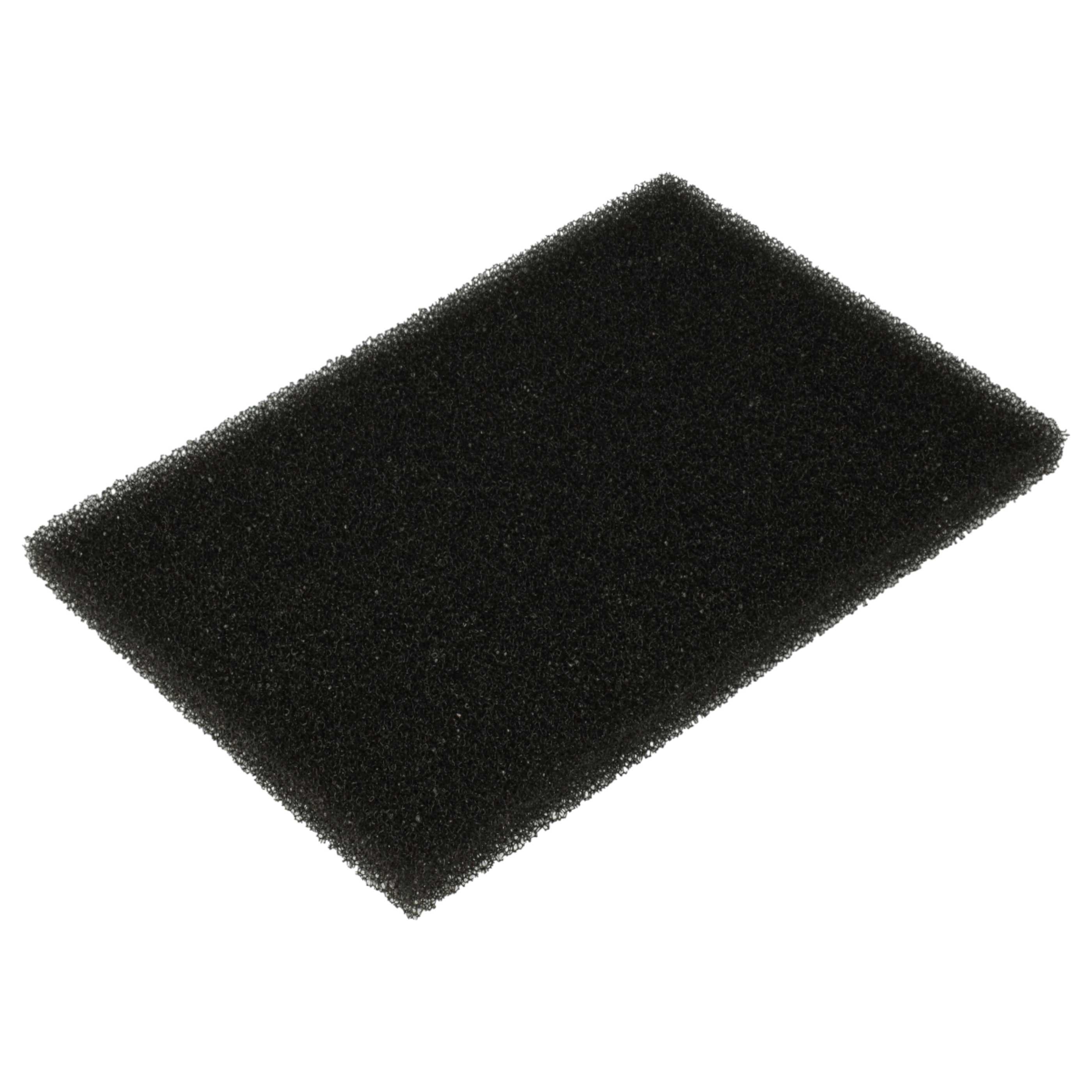 10x Filterfoam filter replaces 1096168008, 421000466500/7, 109616800/8 for Privileg Vacuum Cleaner, 8 x 12 cm
