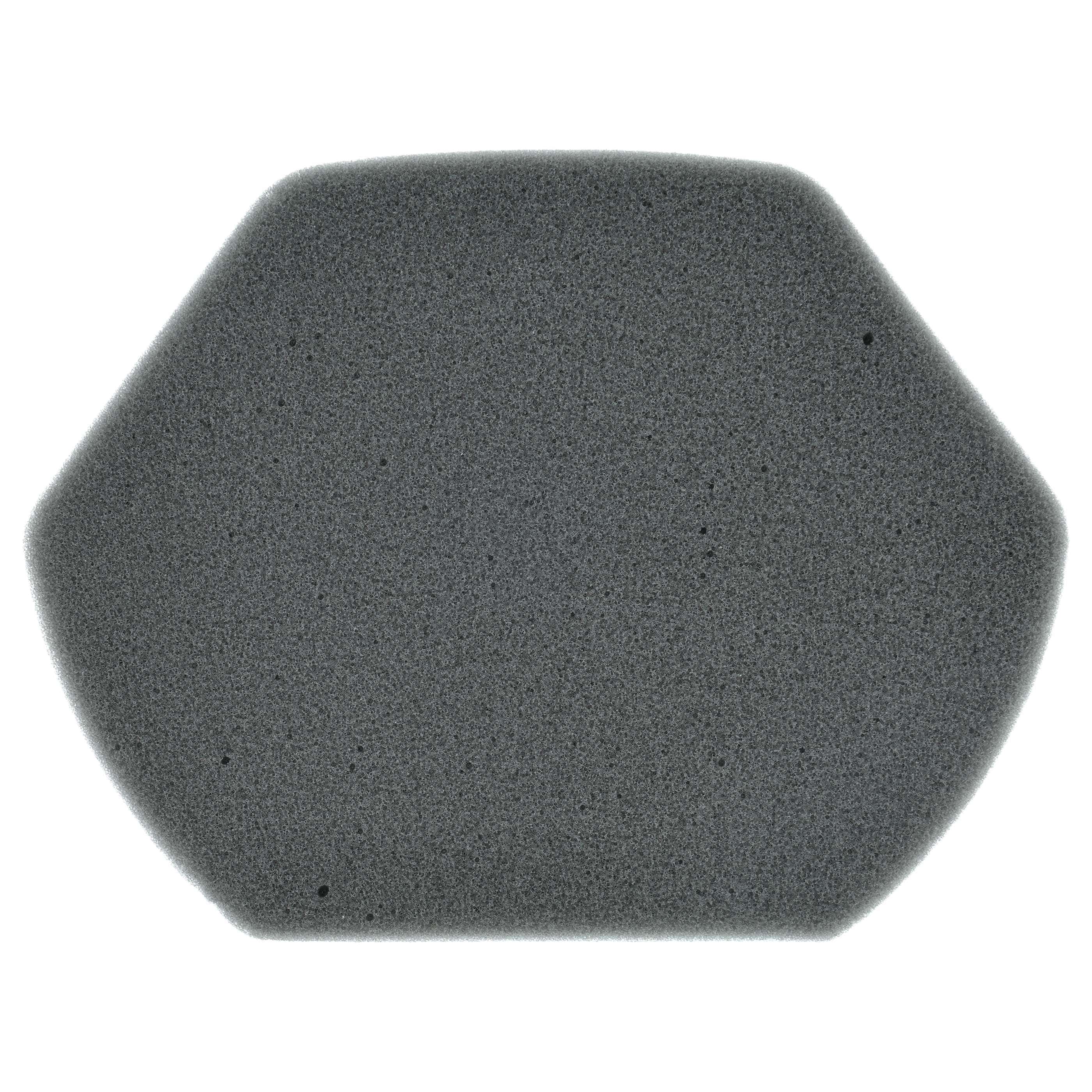 Filter replaces Bosch BD-00579275, 00579275 for Bosch Vacuum Cleaner