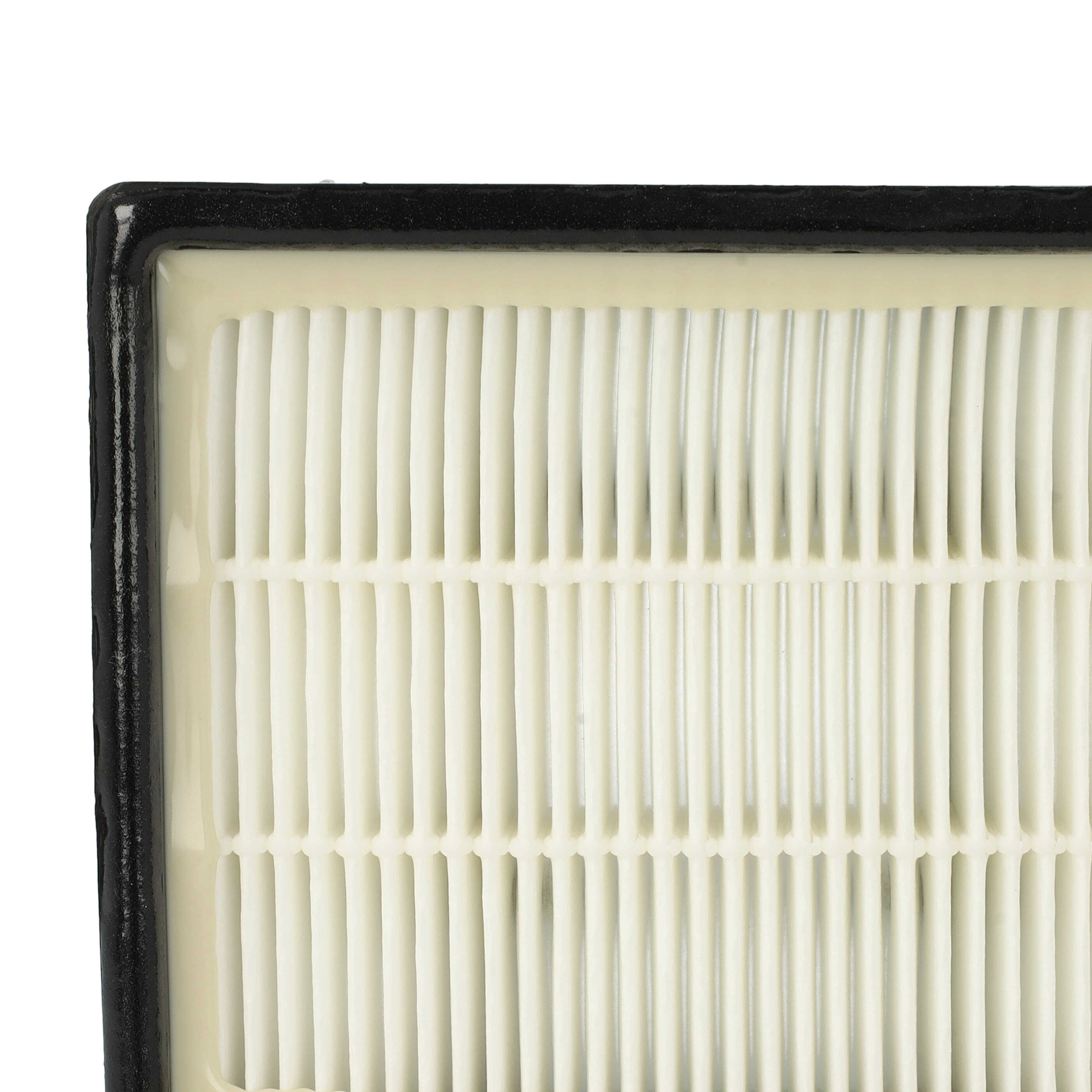 Filtro reemplaza AEG/Electrolux 4055116125, 1924992207 para aspiradora - filtro Hepa negro / blanco
