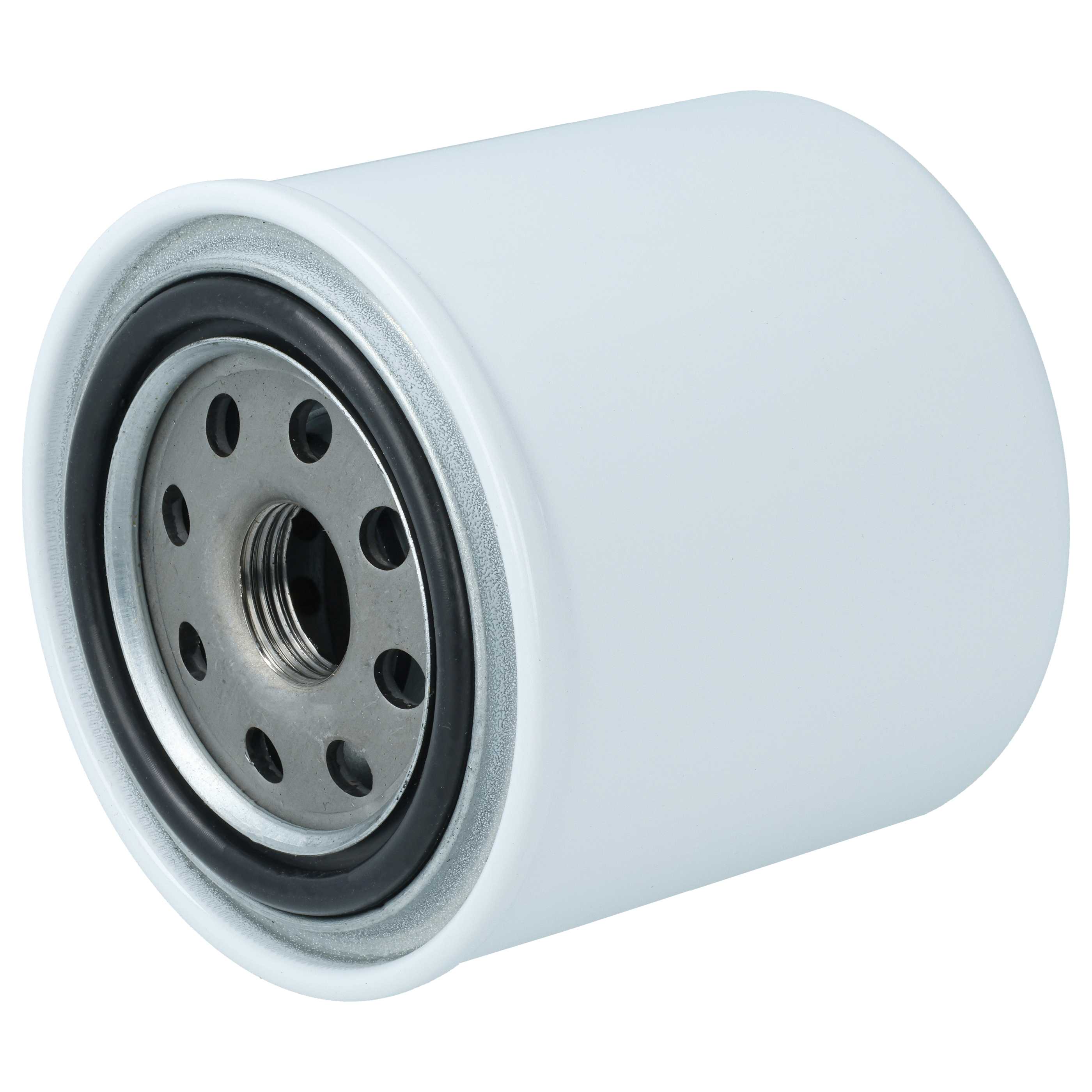 Auto-Kraftstofffilter als Ersatz für ACDelco ACD000193, 95631282, TP1231, TP1119