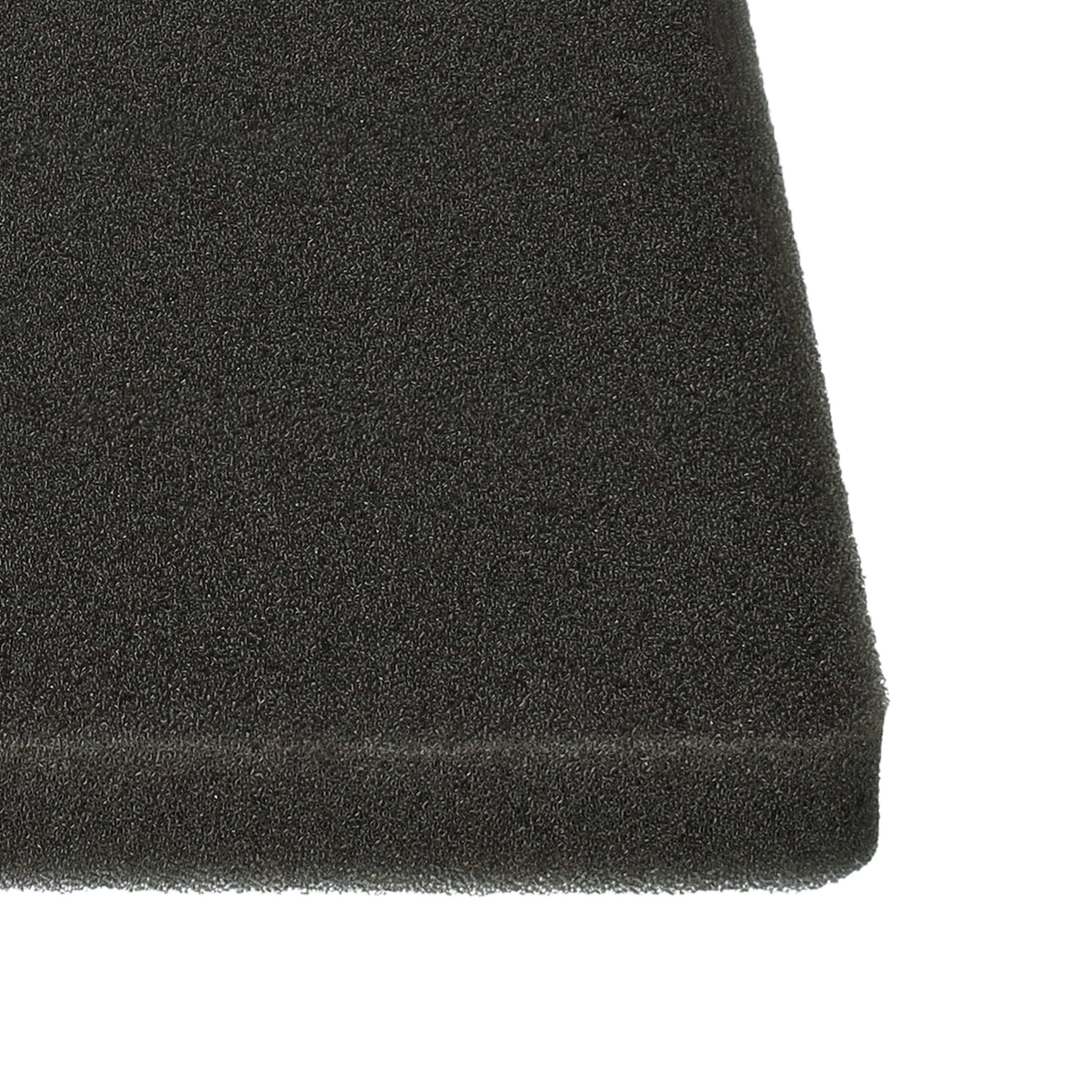 2x Filterexhaust filter / sponge filter replaces Electrolux 1180215012 for Electrolux Vacuum Cleaner