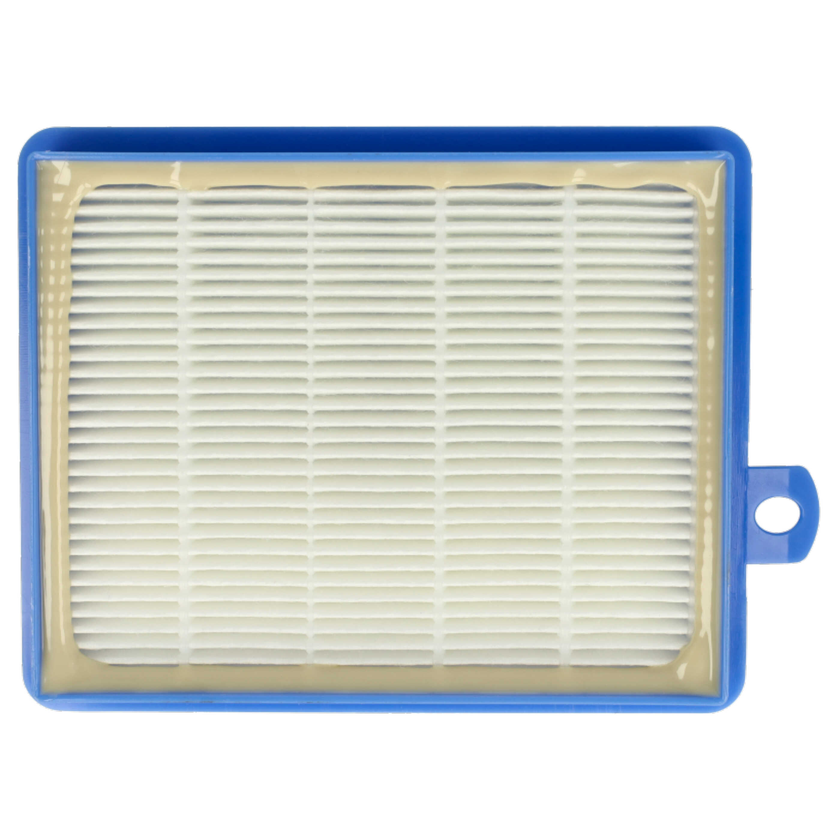 2x exhaust filter replaces AEF13W, H13, AEF 13 W for Philips Vacuum Cleaner