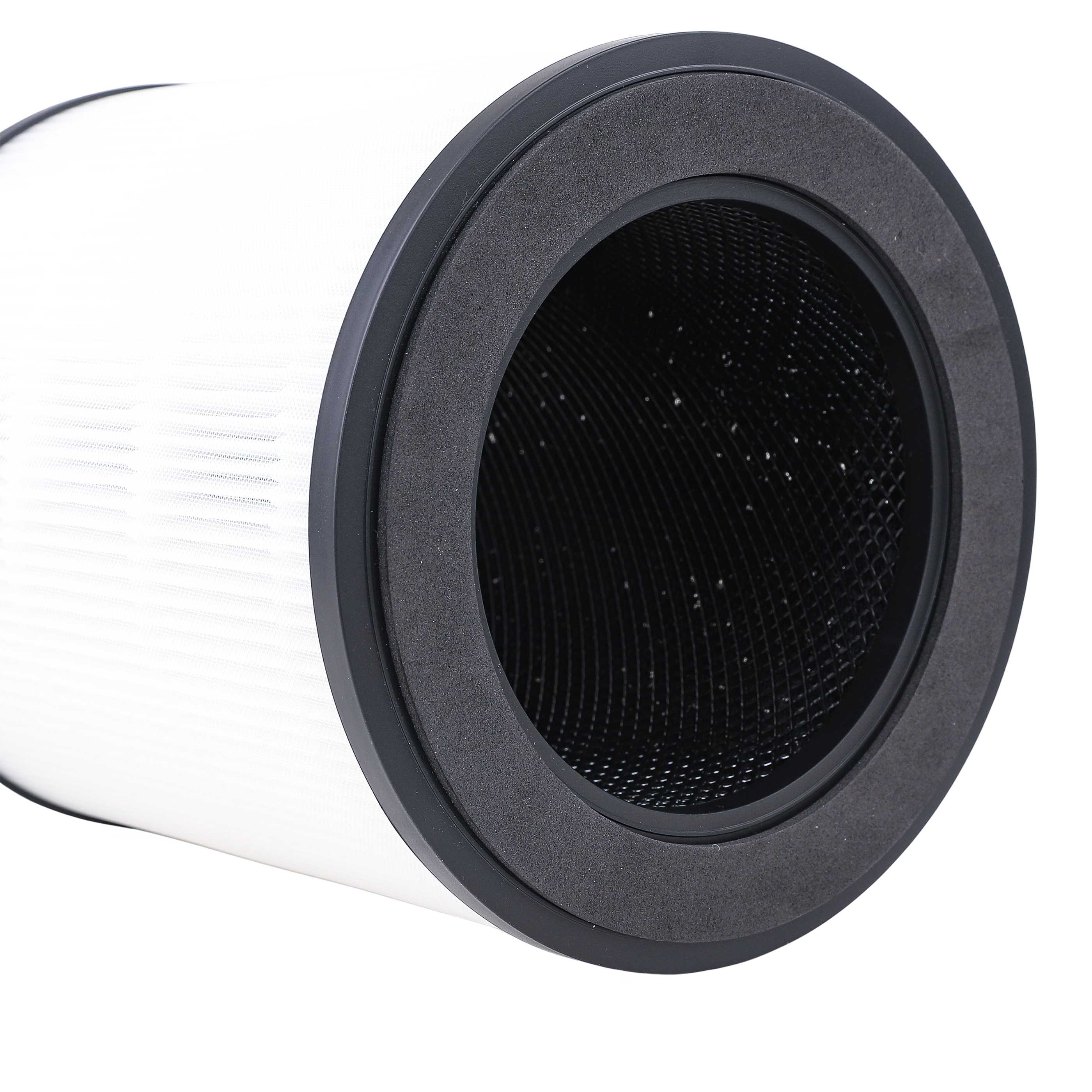 Filter as Replacement for Rowenta XD6280F0 -
